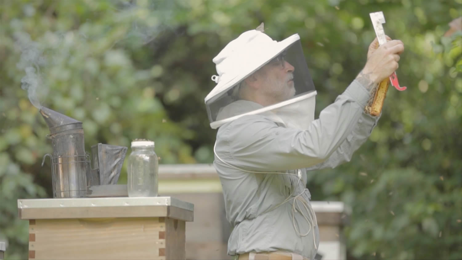 beekeeper. at&t's real stories