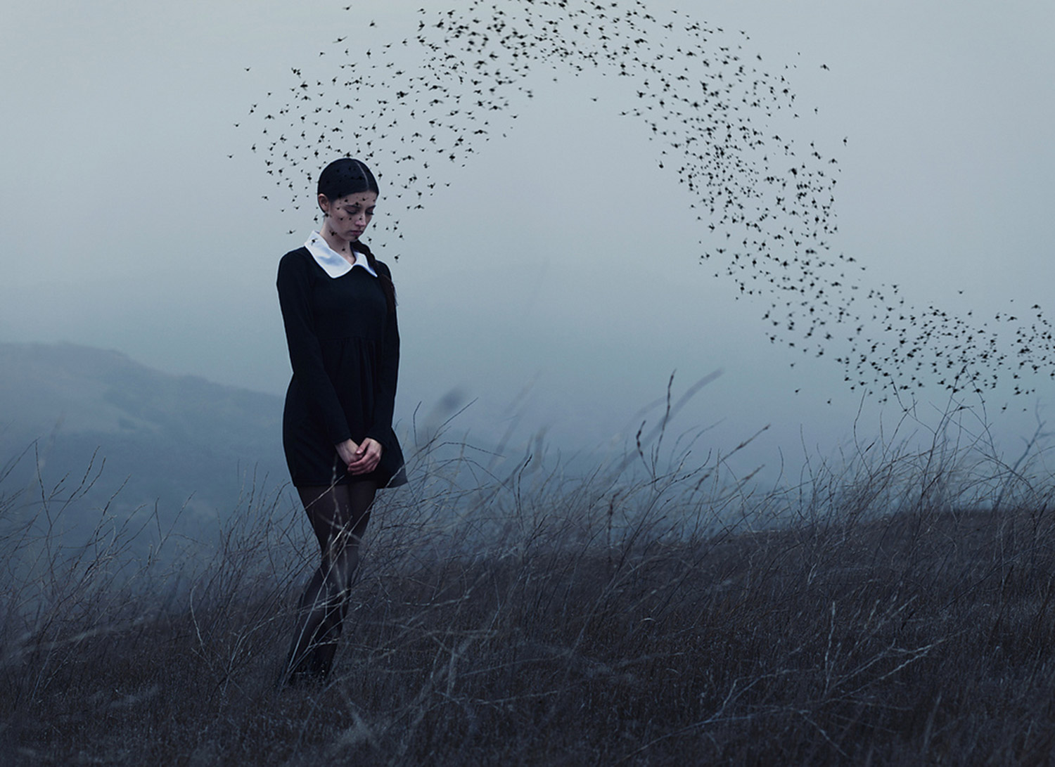 Alex Stoddard, In the Wake of Thunder, girl, storm clouds and a flock of birds