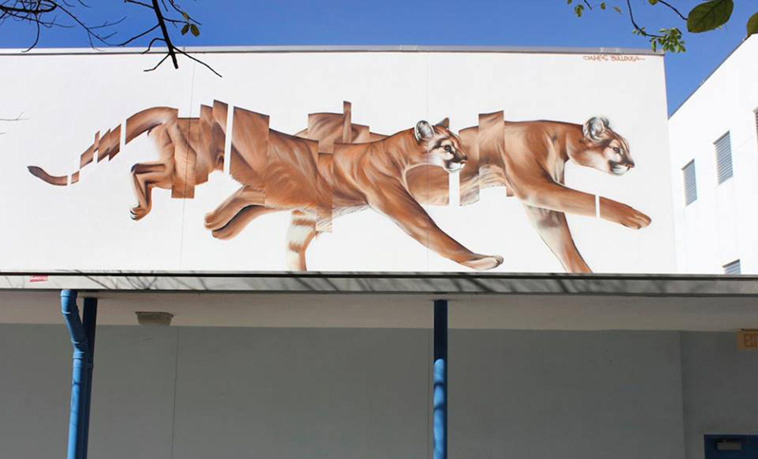 segmented mural of wildcats running by james bullough