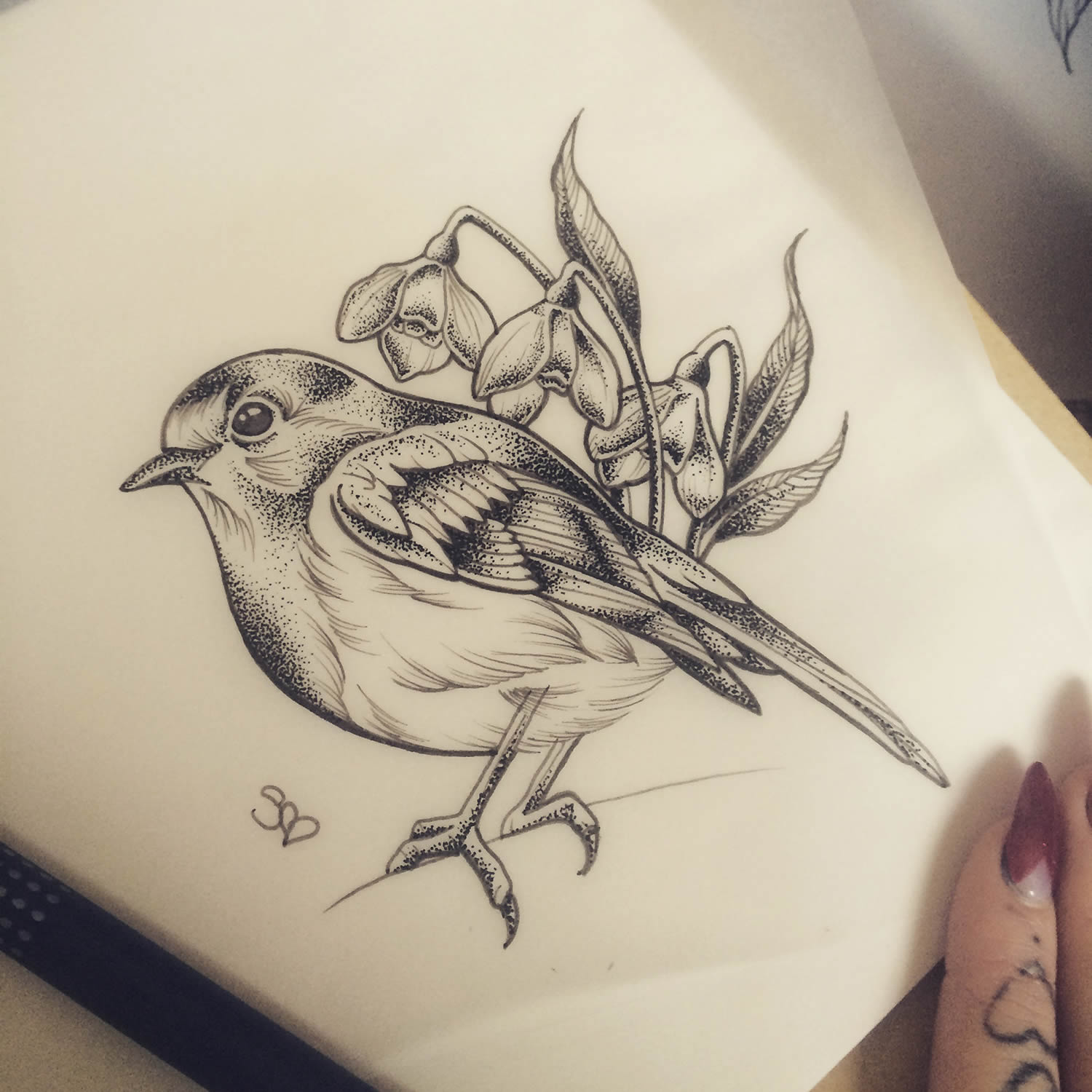 stippling bird on paper, tattoo flash