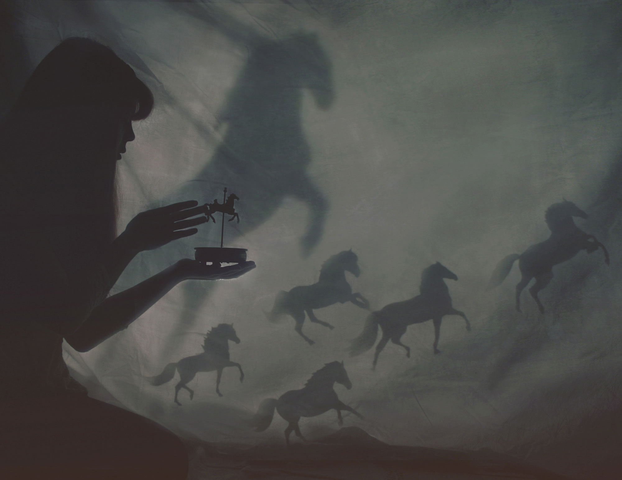shadow play, horses, Elisa Scascitelli