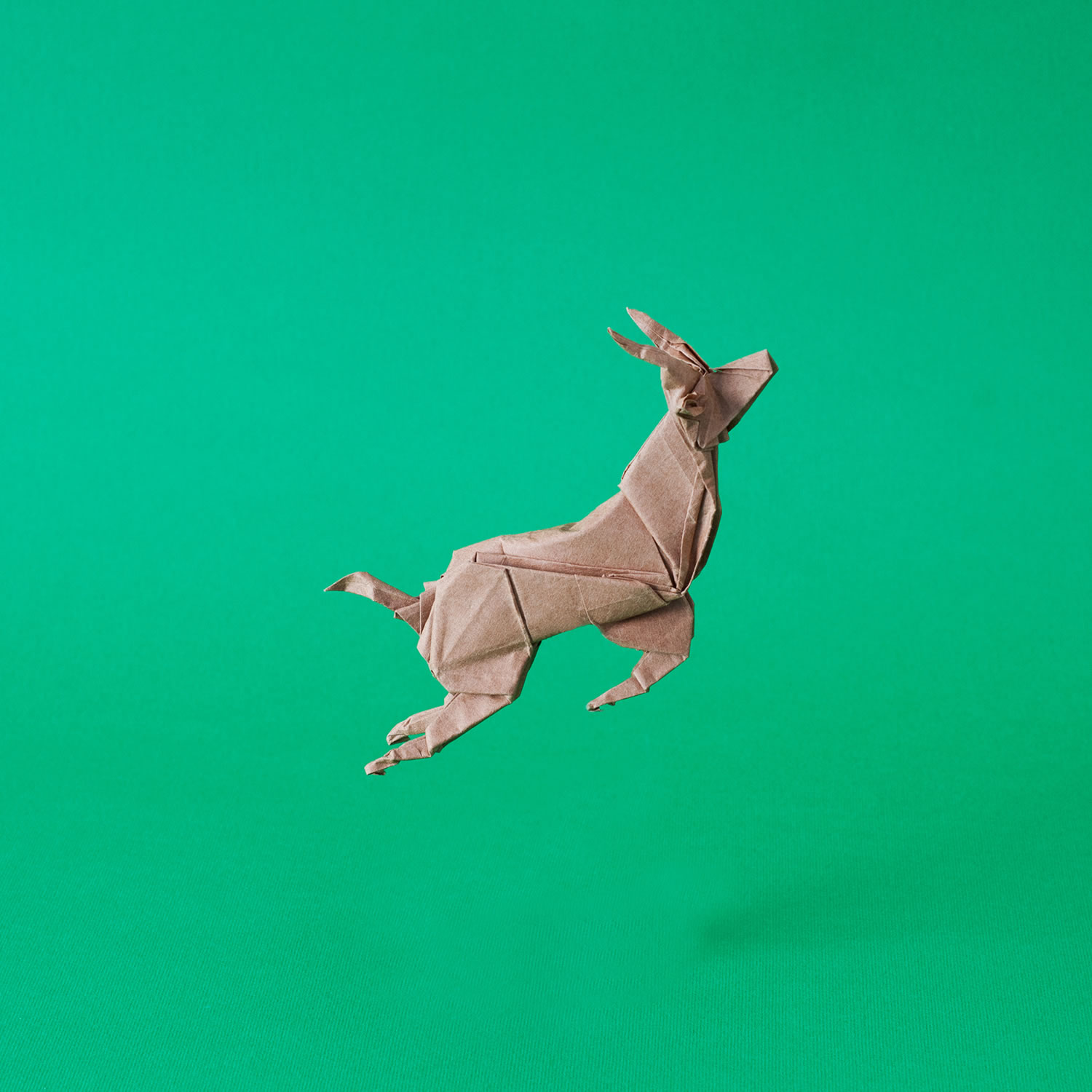 springbok jumping in the air, origami