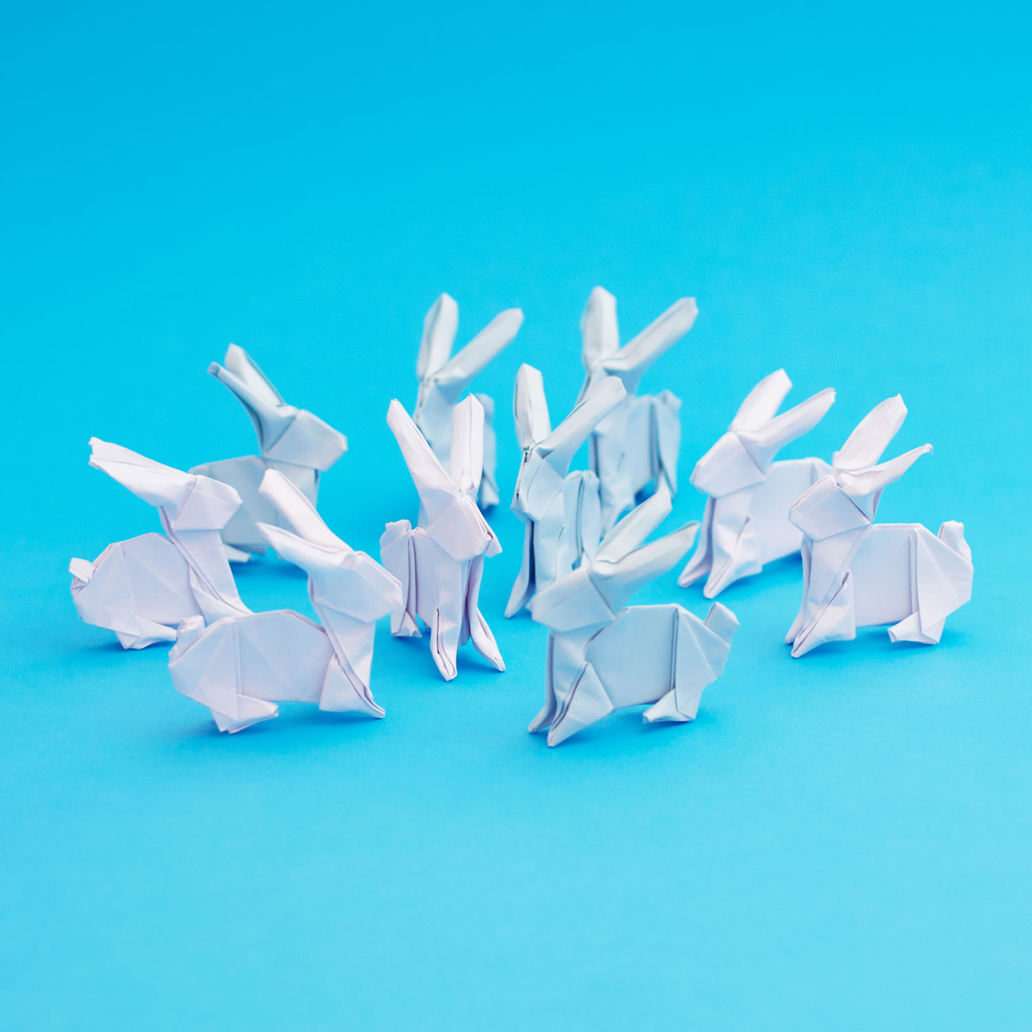 white rabbits , origami