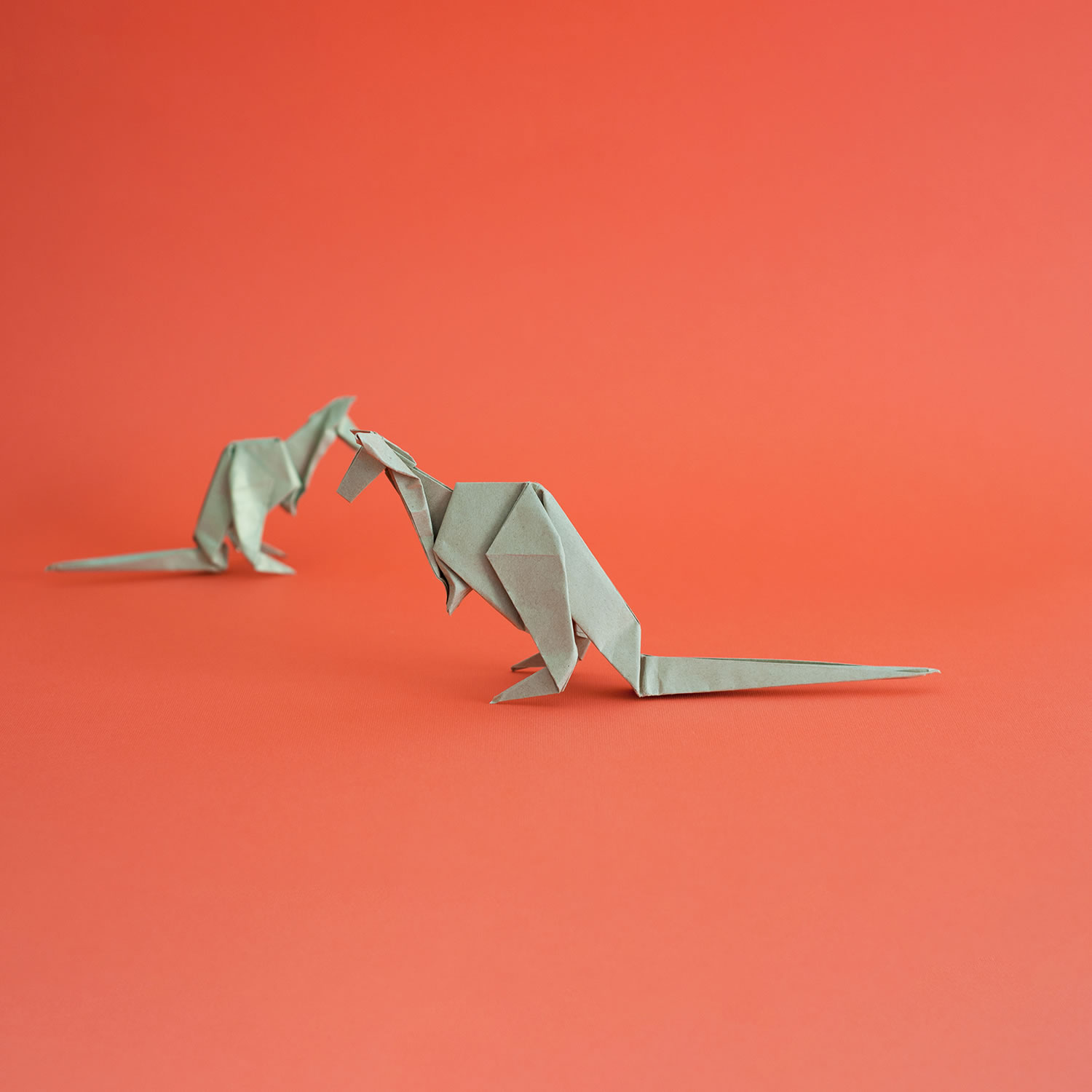 two kangaroos, origami