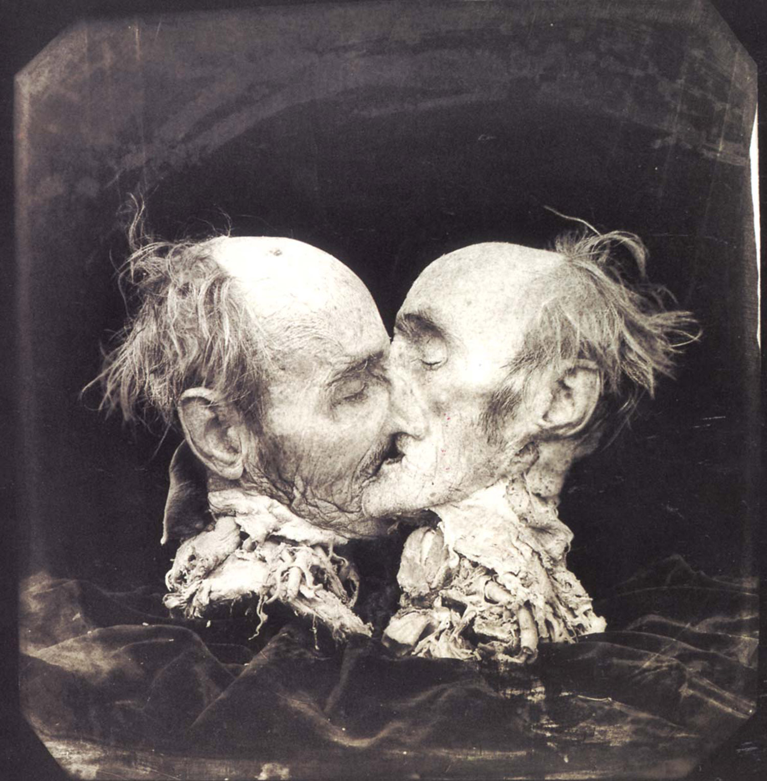 Joel Peter Witkin - black and white photo of two halves of severed head kissing