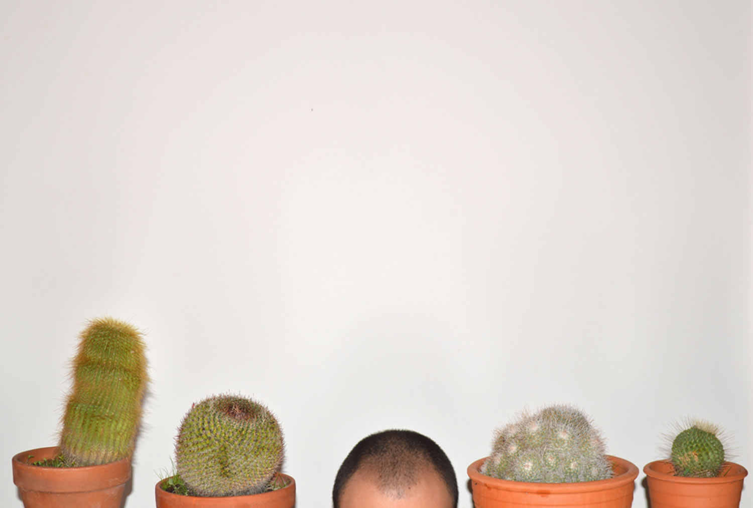 blad head and cactuses