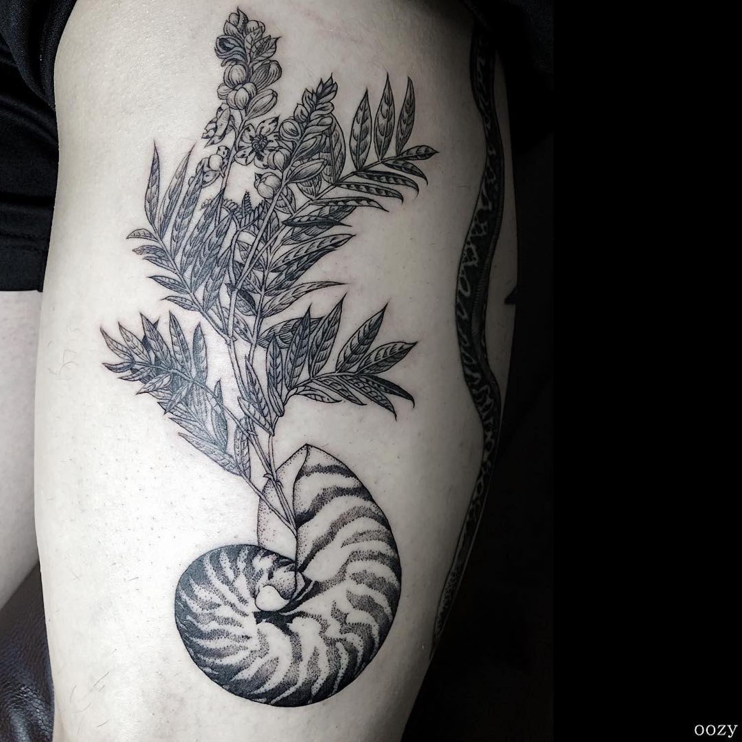 Black line tattoos by Oozy