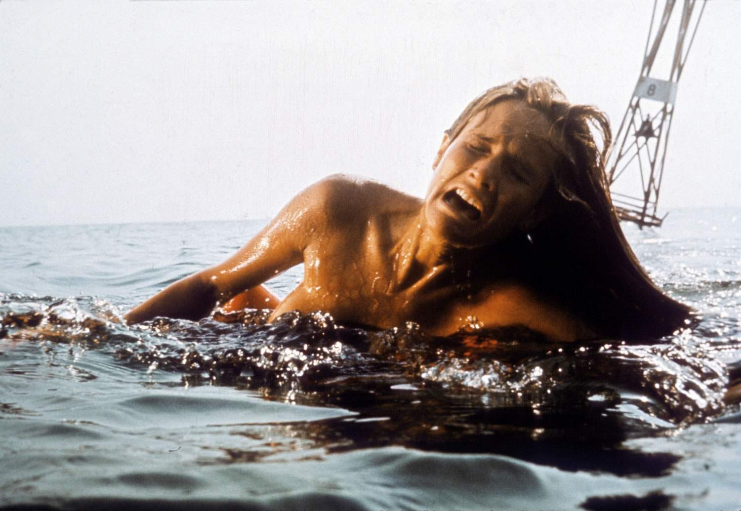 woman being attacked by a shark, jaws directed by spielberg