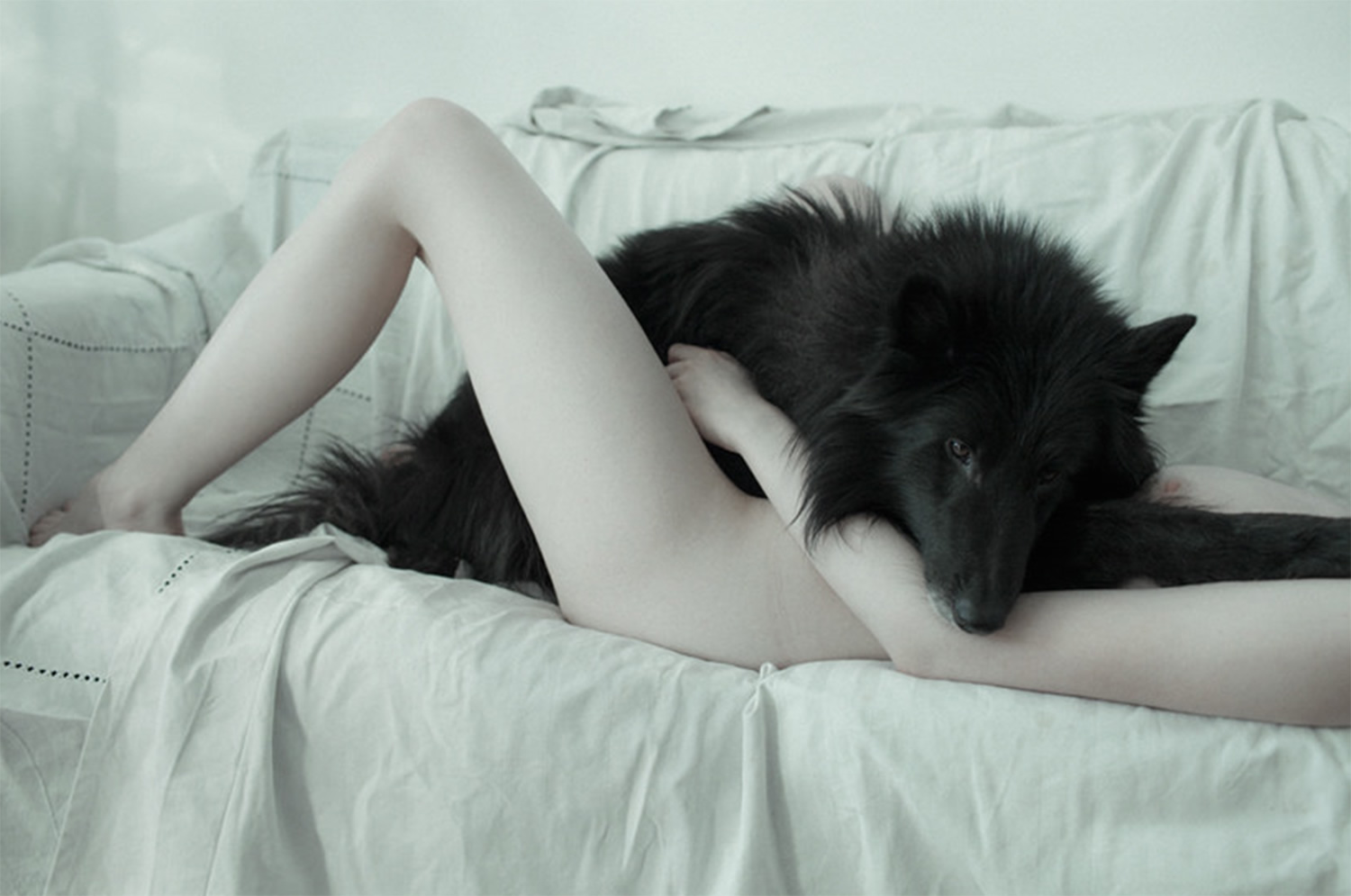 black dog lying over woman, couch. photo by Laura Makabresku