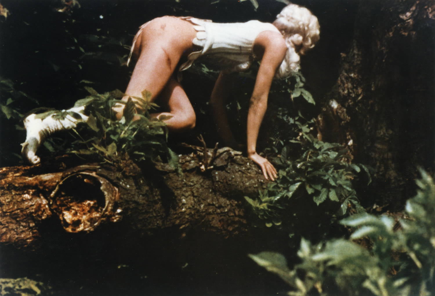 The Cinema of Walerian Borowczyk: Something to Do with Sex – Scene360