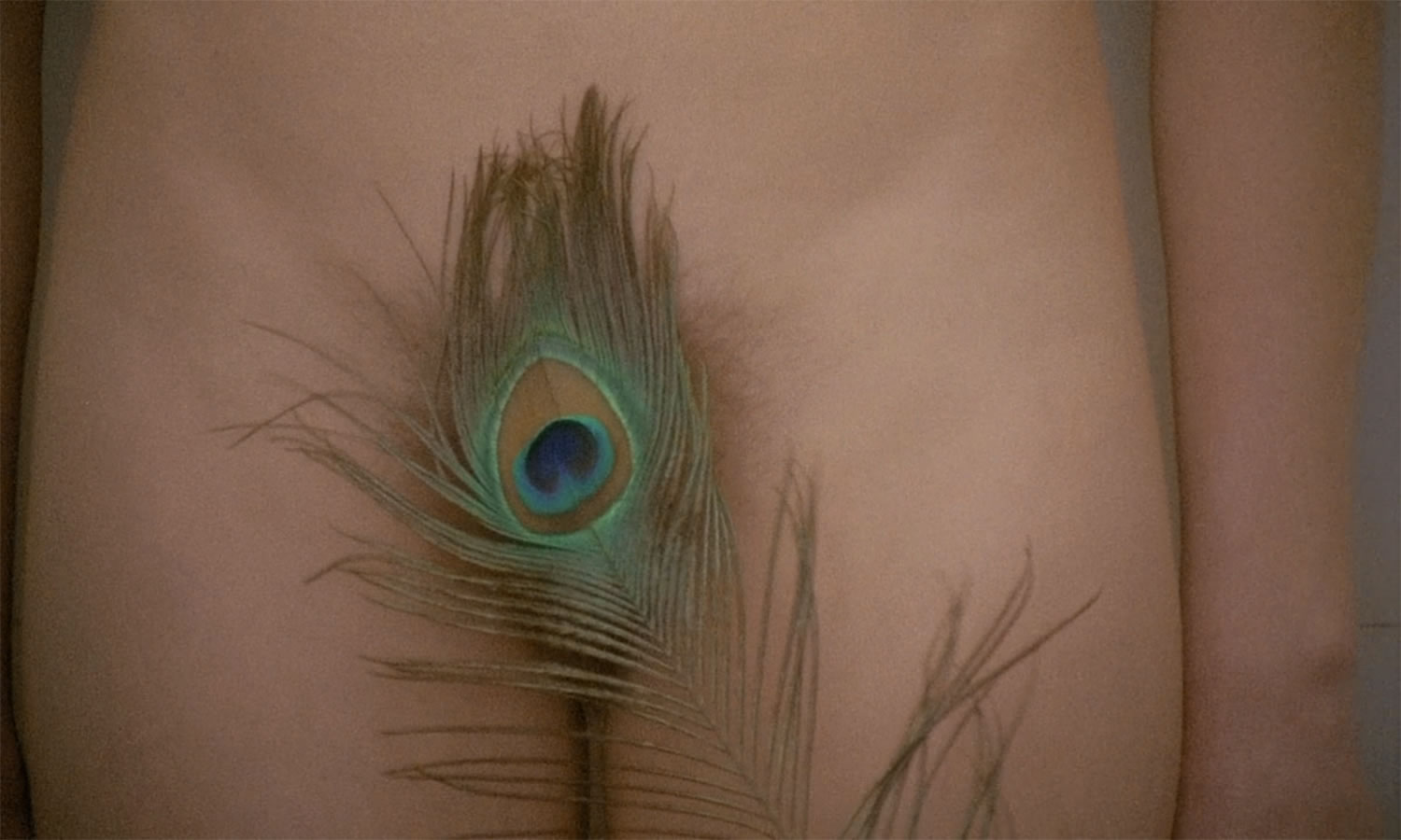 peacock feather over intimate body part, immortal tales