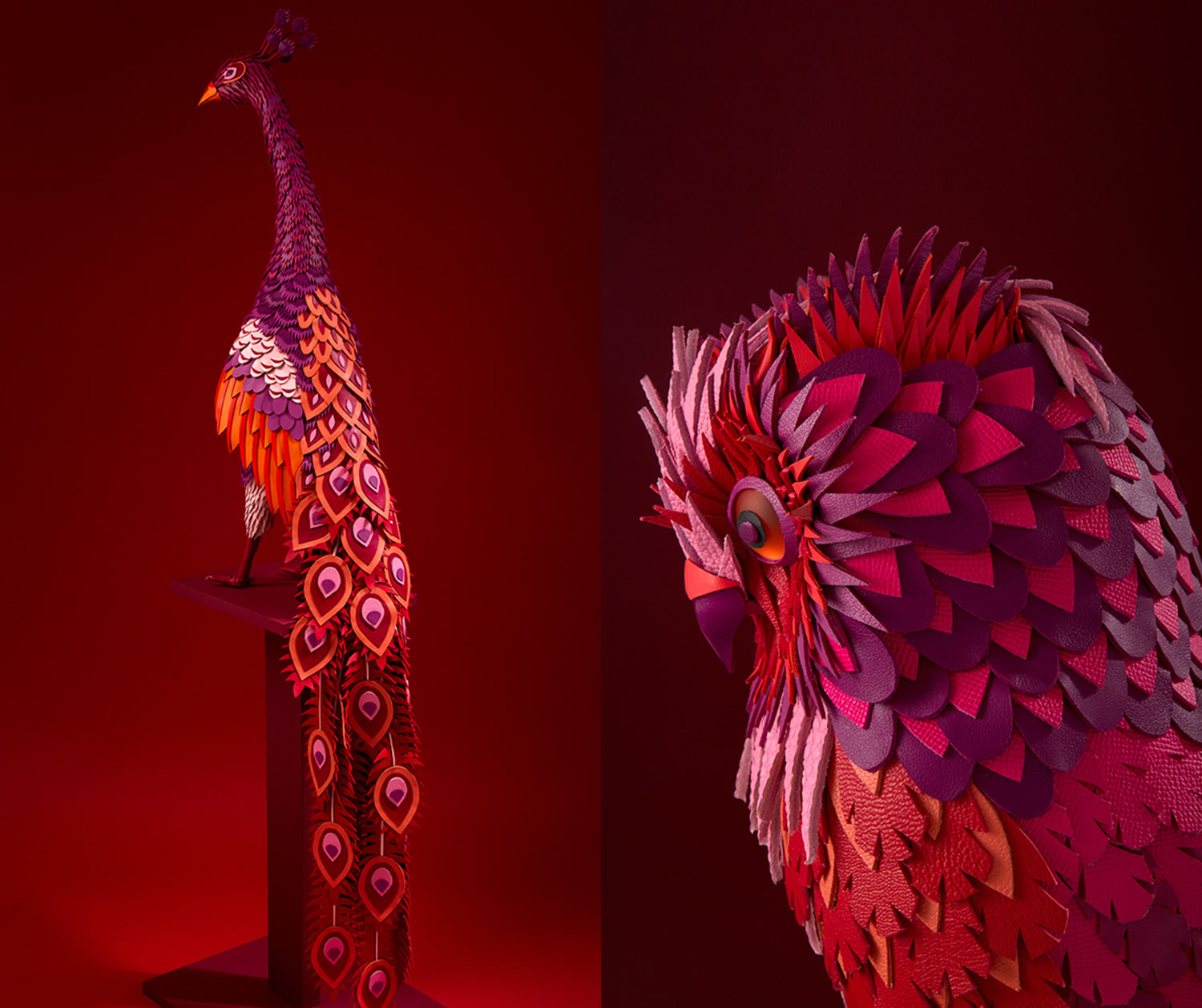 peacock and owl by Zim & Zou