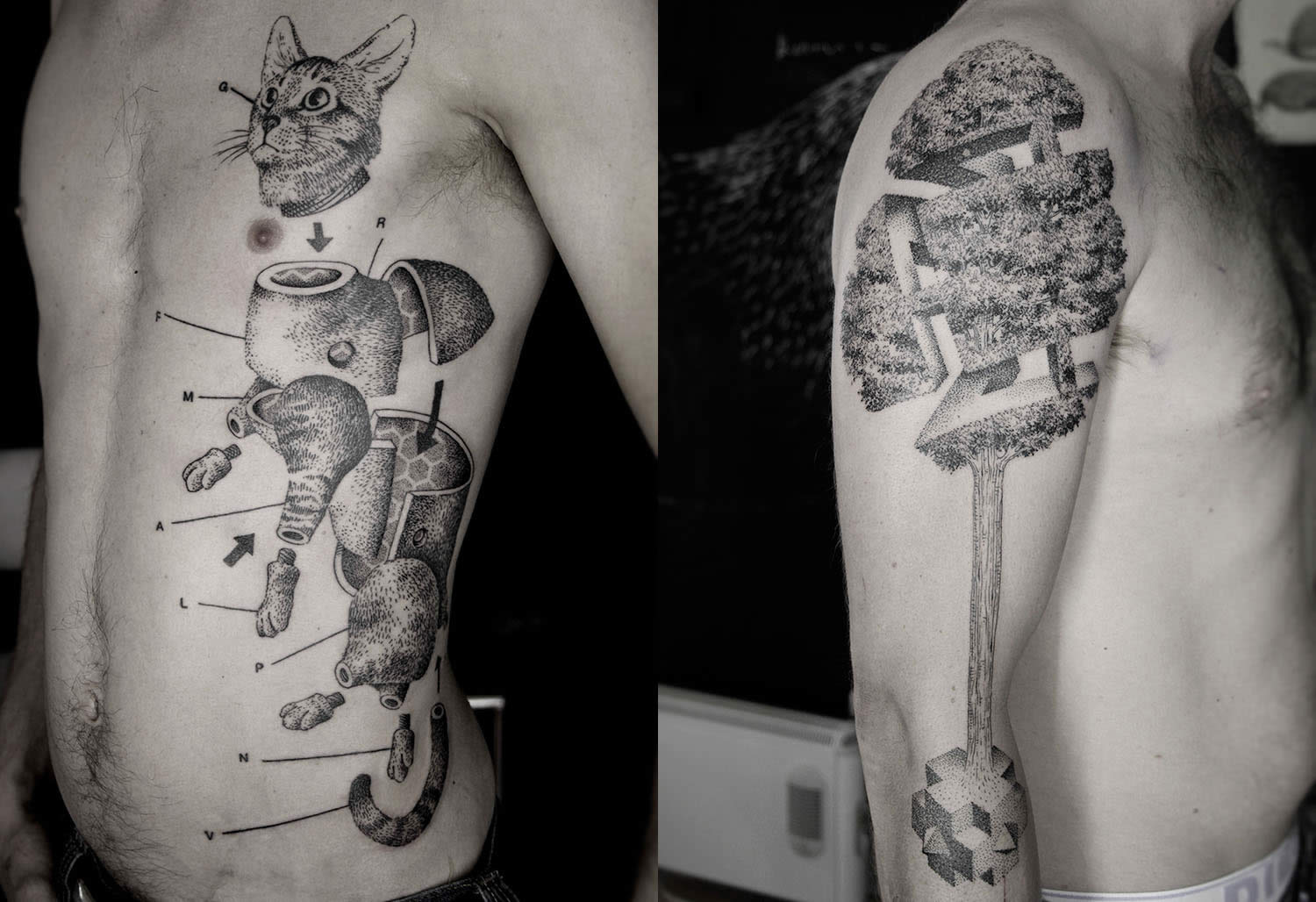 cut up cat tattoo and 3d tree escher style by ottorino d'ambra