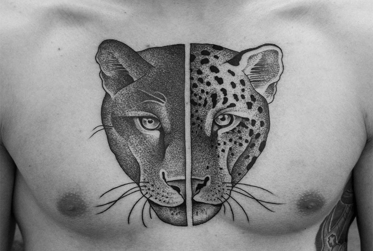 tiger and leopard tattoo by Valentin Hirsch