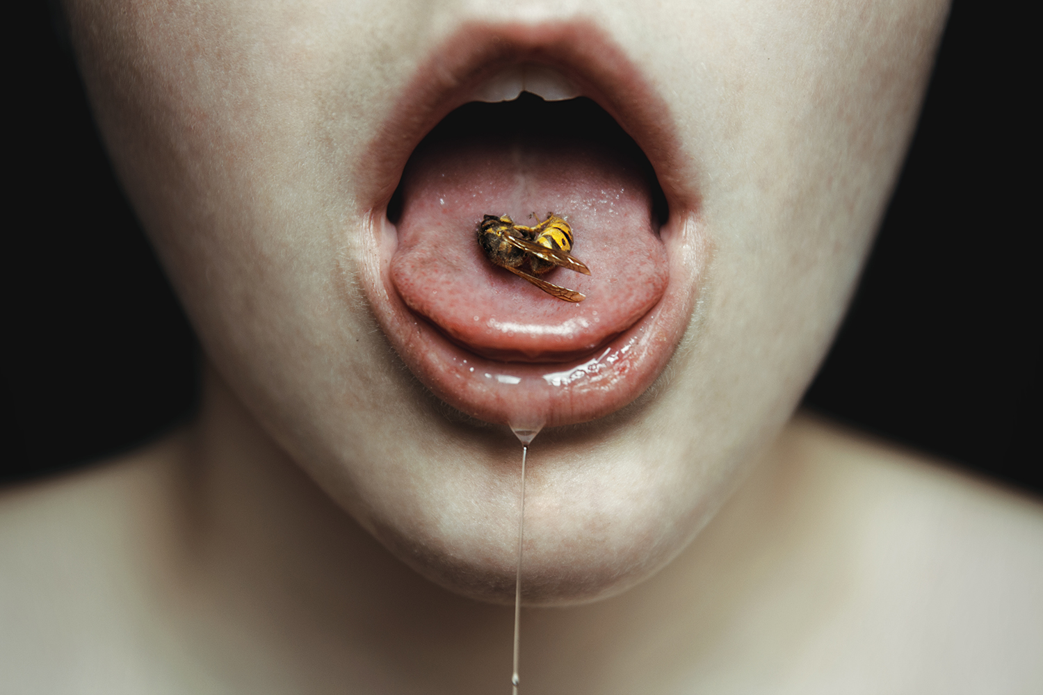 Elena Helfrecht, Emesis - hornet on tongue