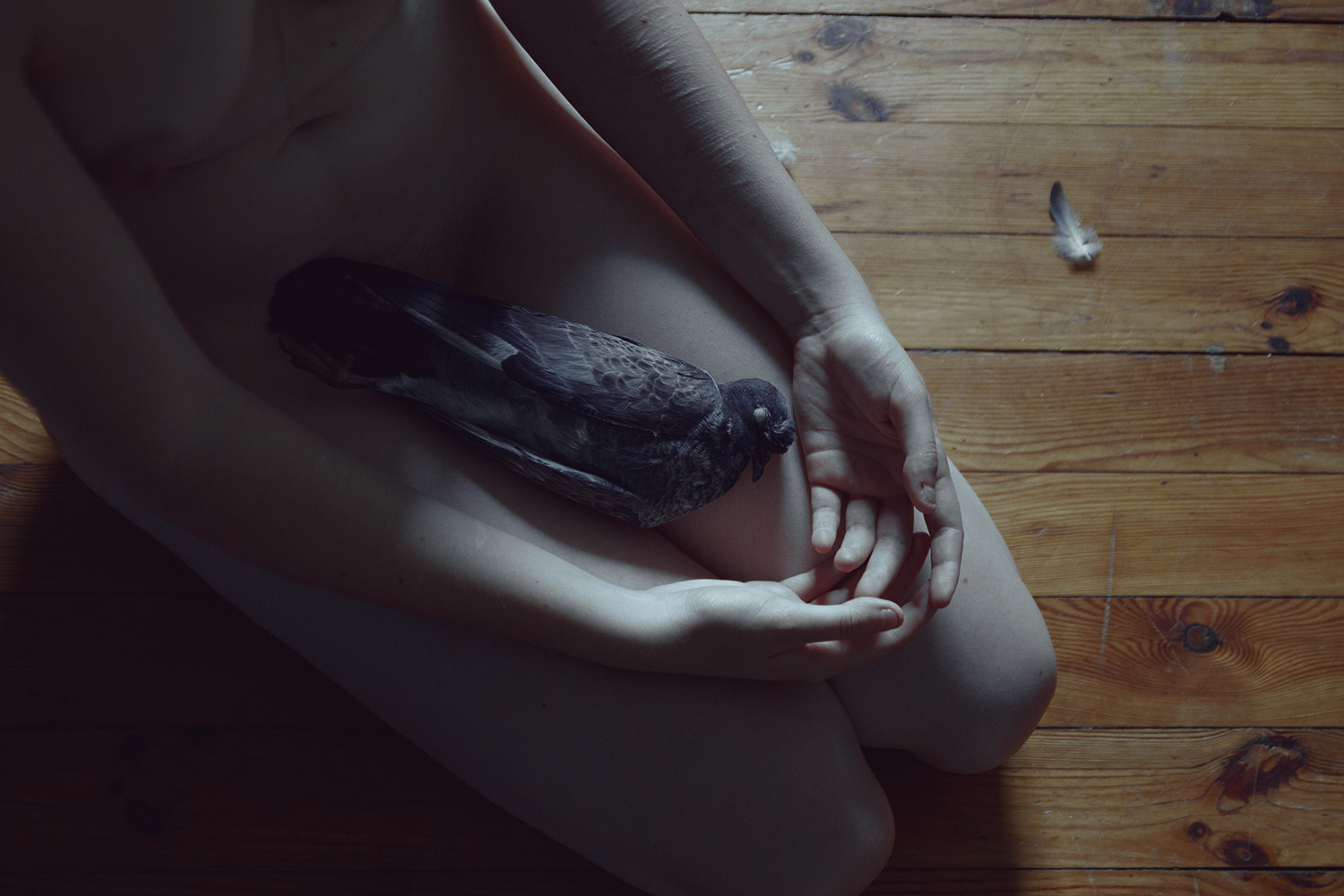 Elena Helfrecht - holding dead bird
