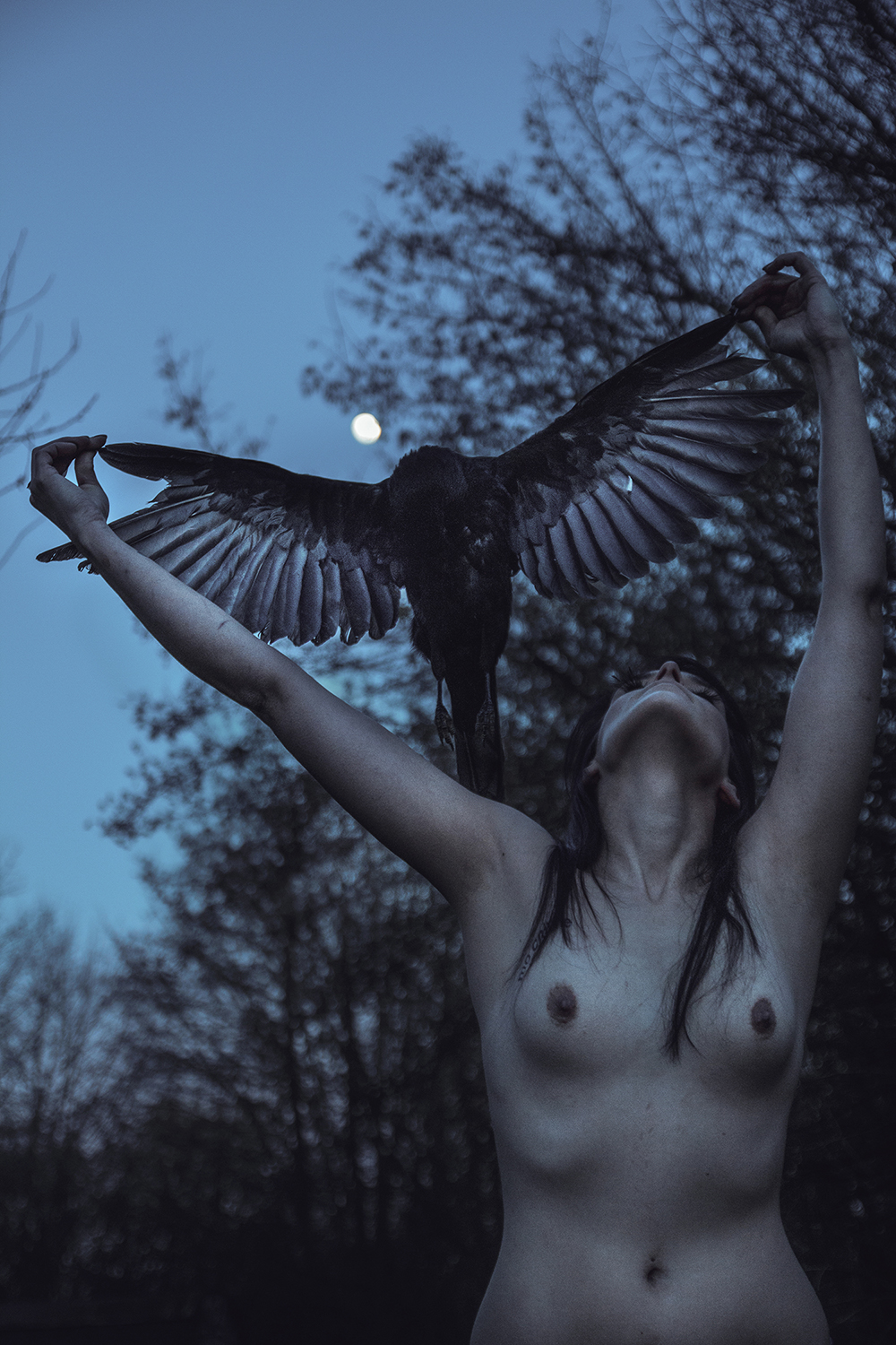 Elena Helfrecht, Arise - woman holding bird under moonlight