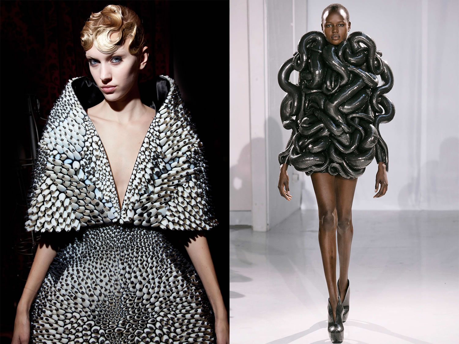 dresses by Iris Van Herpen