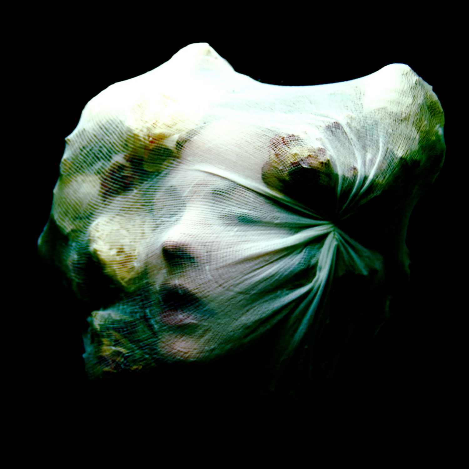 Helen Warner - Helichrysum bracteatum - woman with cloth over face