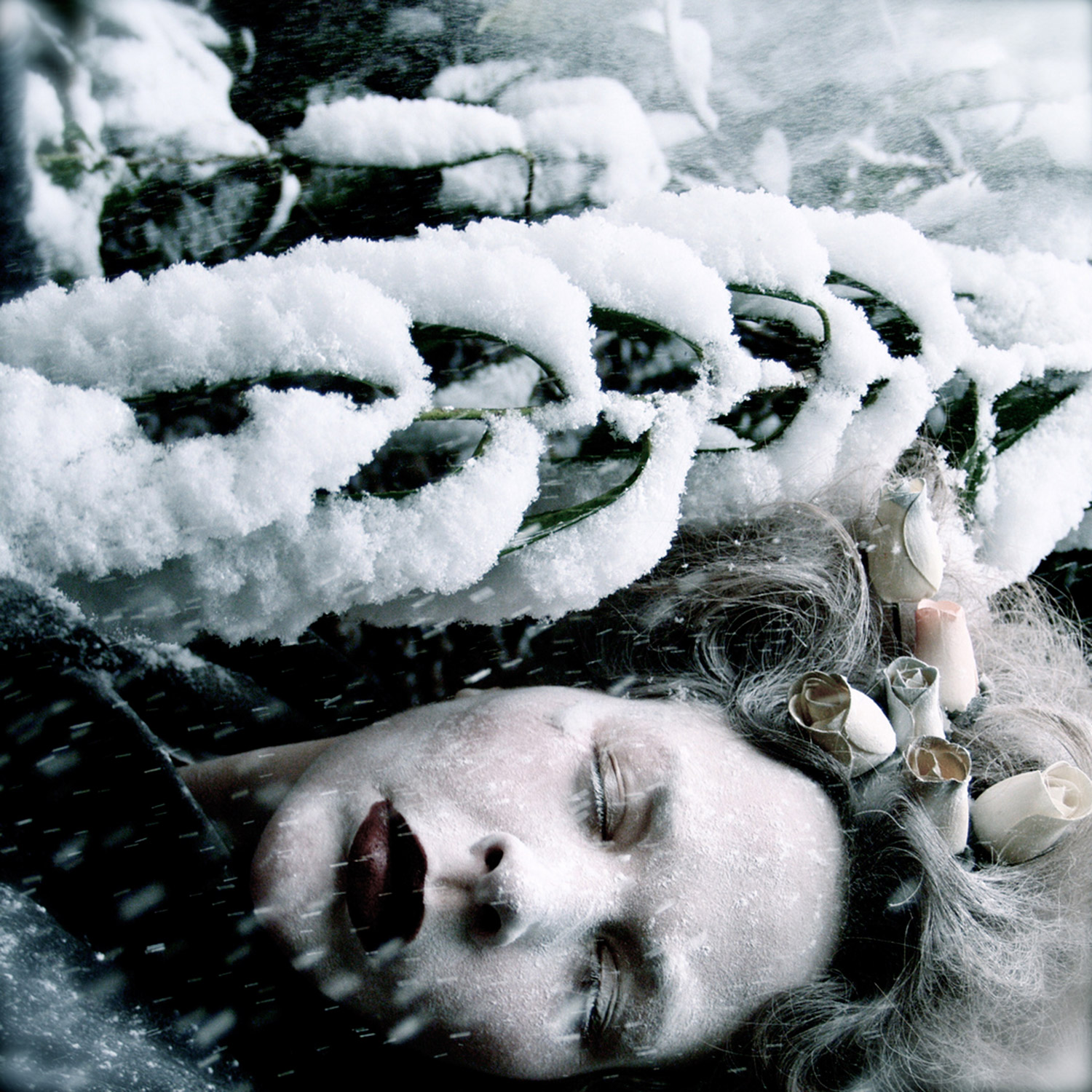 Helen Warner, She Sleeps Until the Snow Falls - woman sleeping on forest floor in falling snow