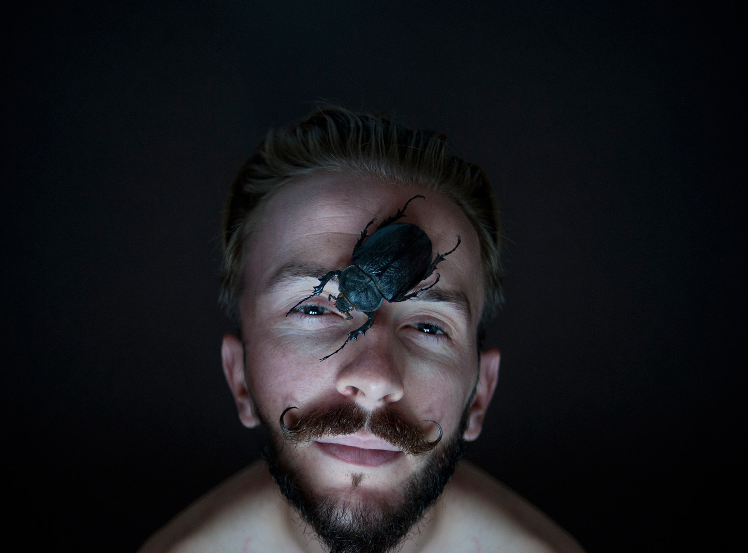 Ines Kozic, Insomnia - man with large beetle on forehead