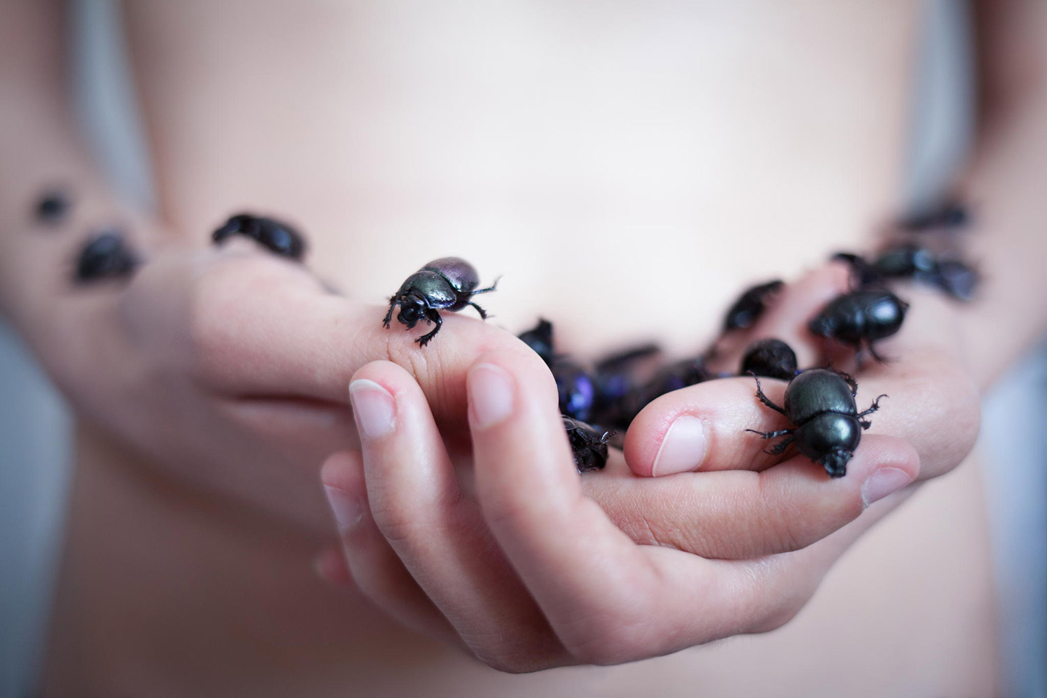 Ines Kozic, Cursed - woman holding handful of bugs