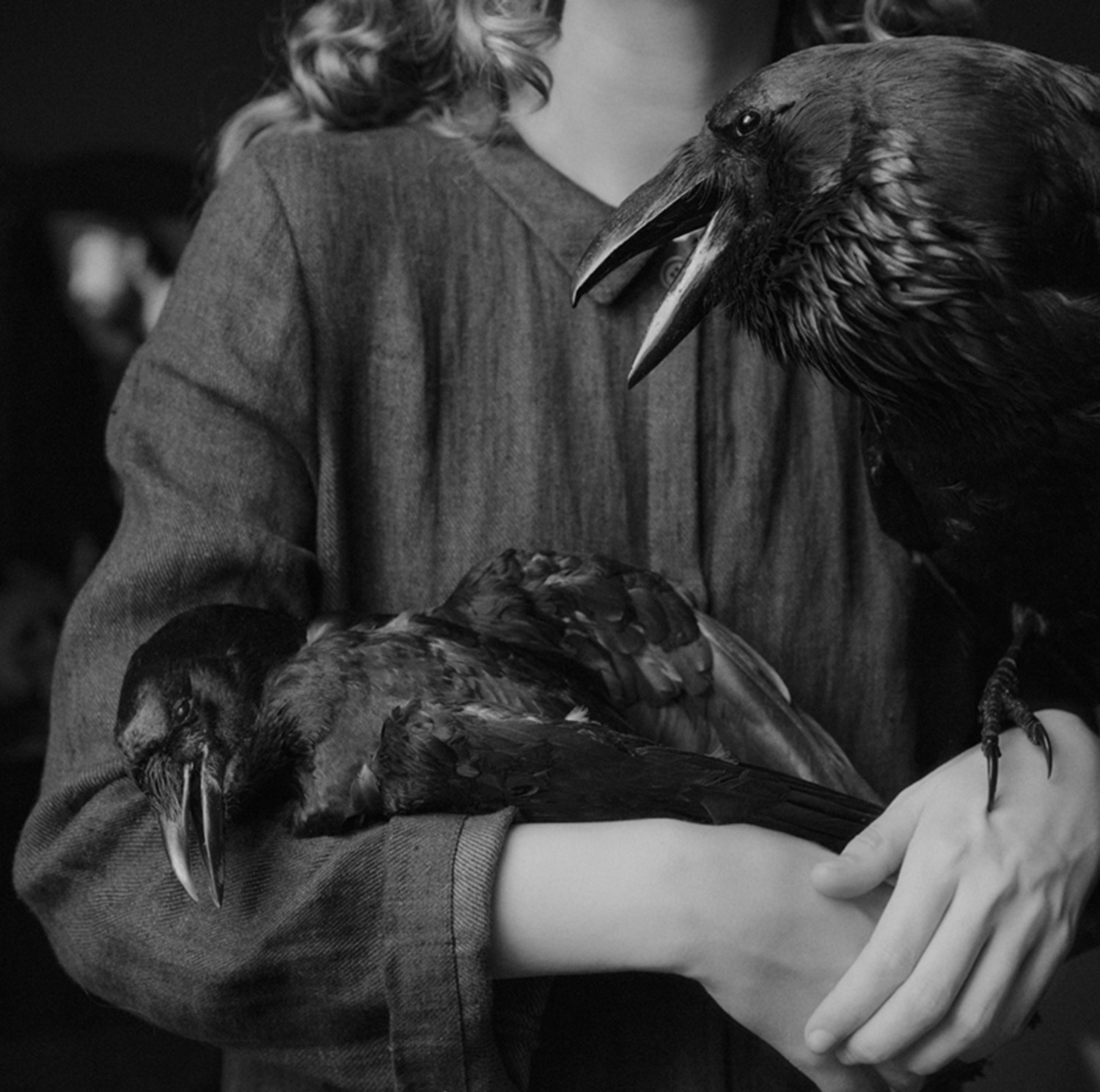 Laura Makabresku, Mourning - arms holding ravens