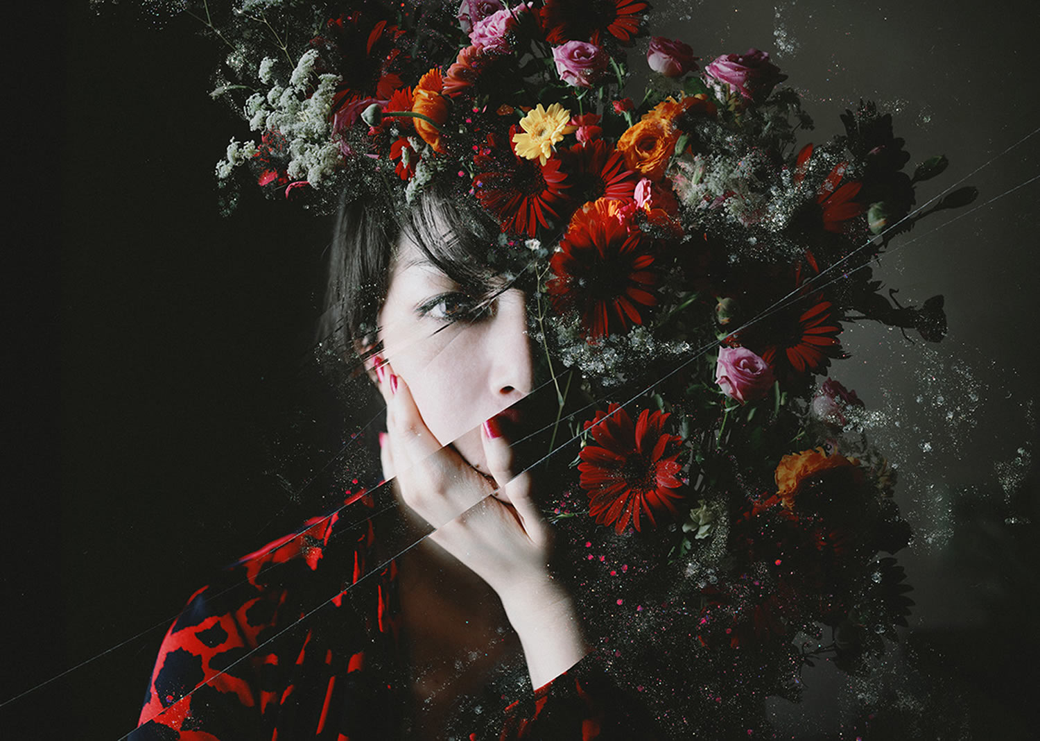 redolent of flowers, flower portrait series