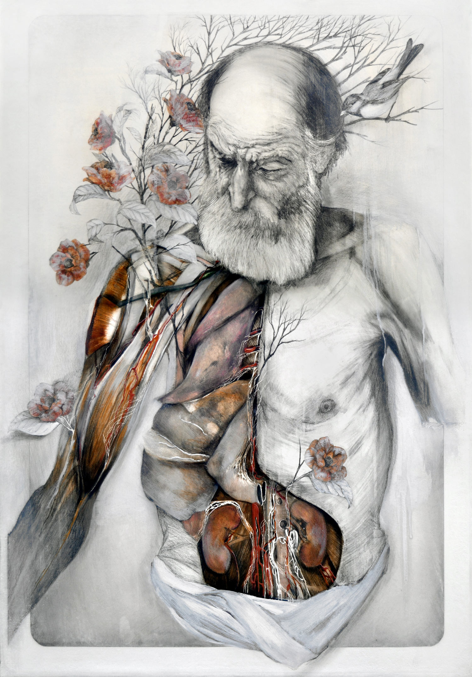 Dissected Splendor: Nunzio Paci’s Visionary Anatomy Paintings – Scene360