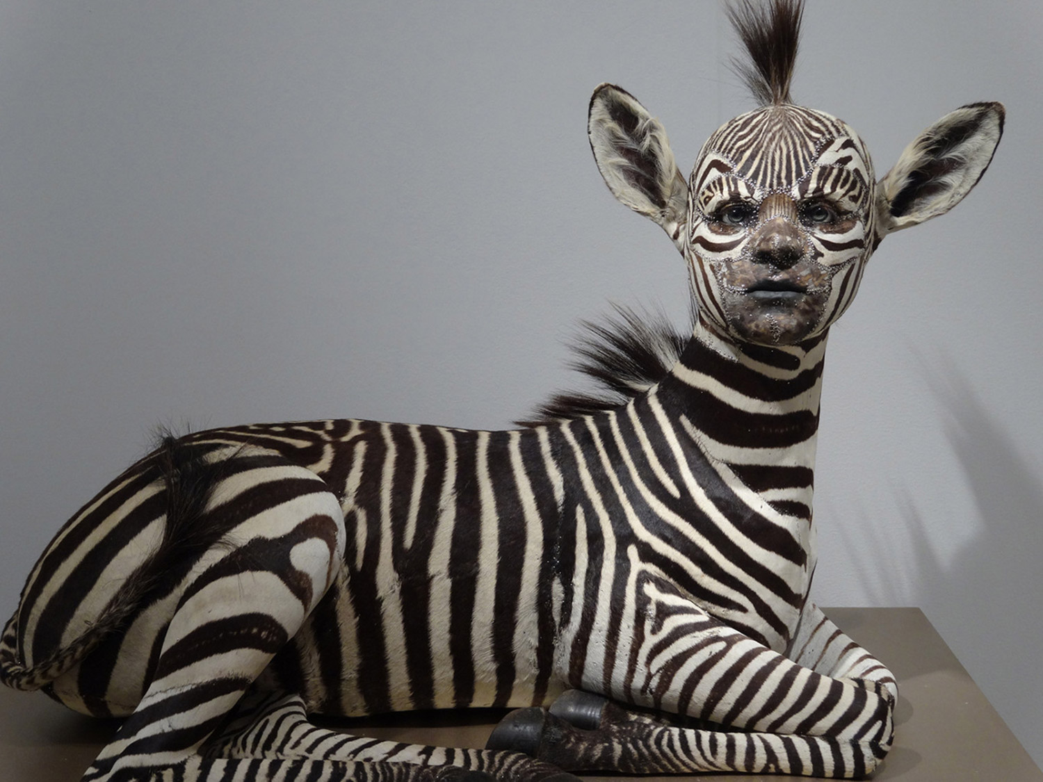 Kate Clark - zebra with human face