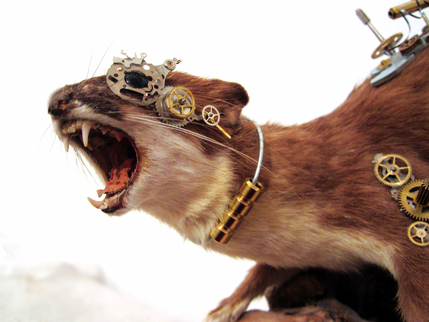 Oddity Avenue, Steam Punk Weasel