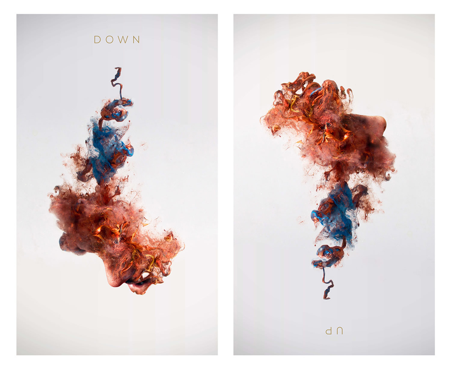 up and down portraits ink into water