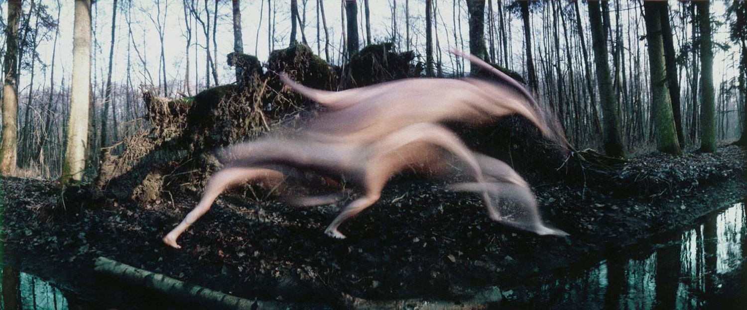 Frederic Fontenoy, Metamorphosis - blurred body in forest