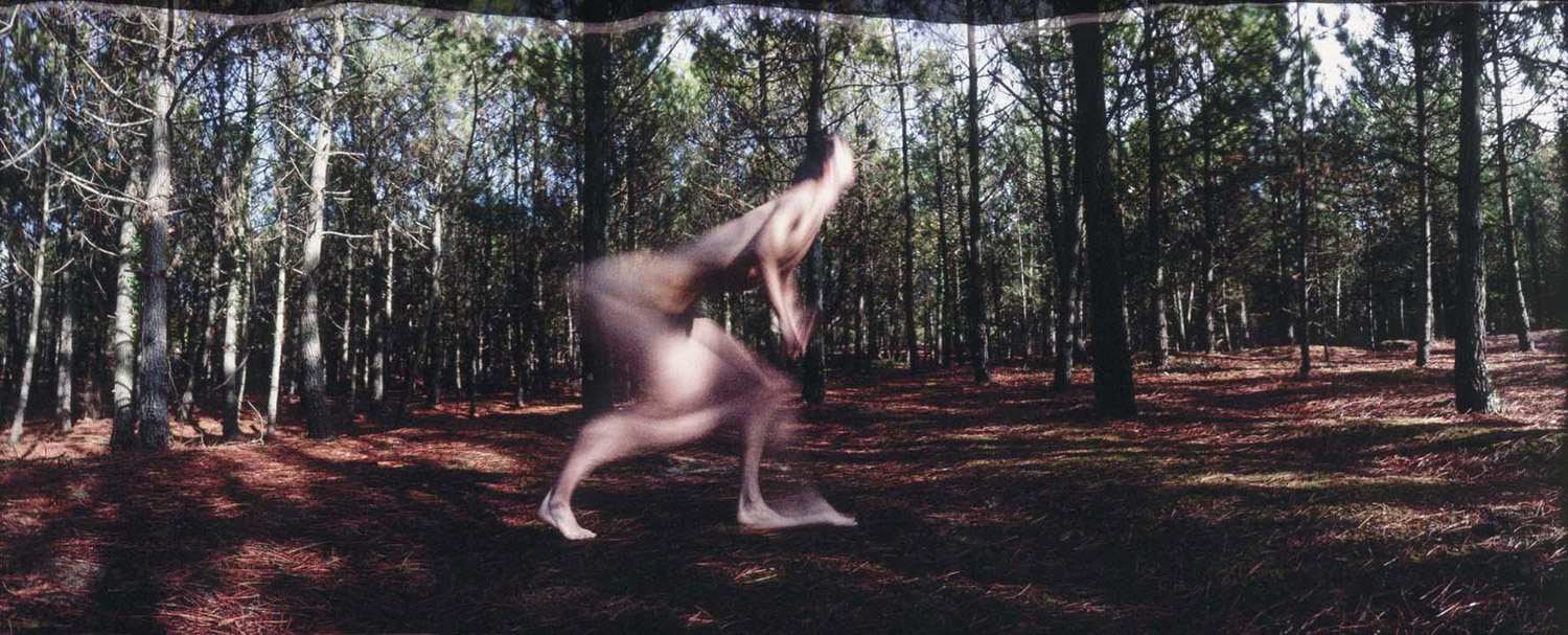 Frederic Fontenoy, Metamorphosis - abstract body in forest