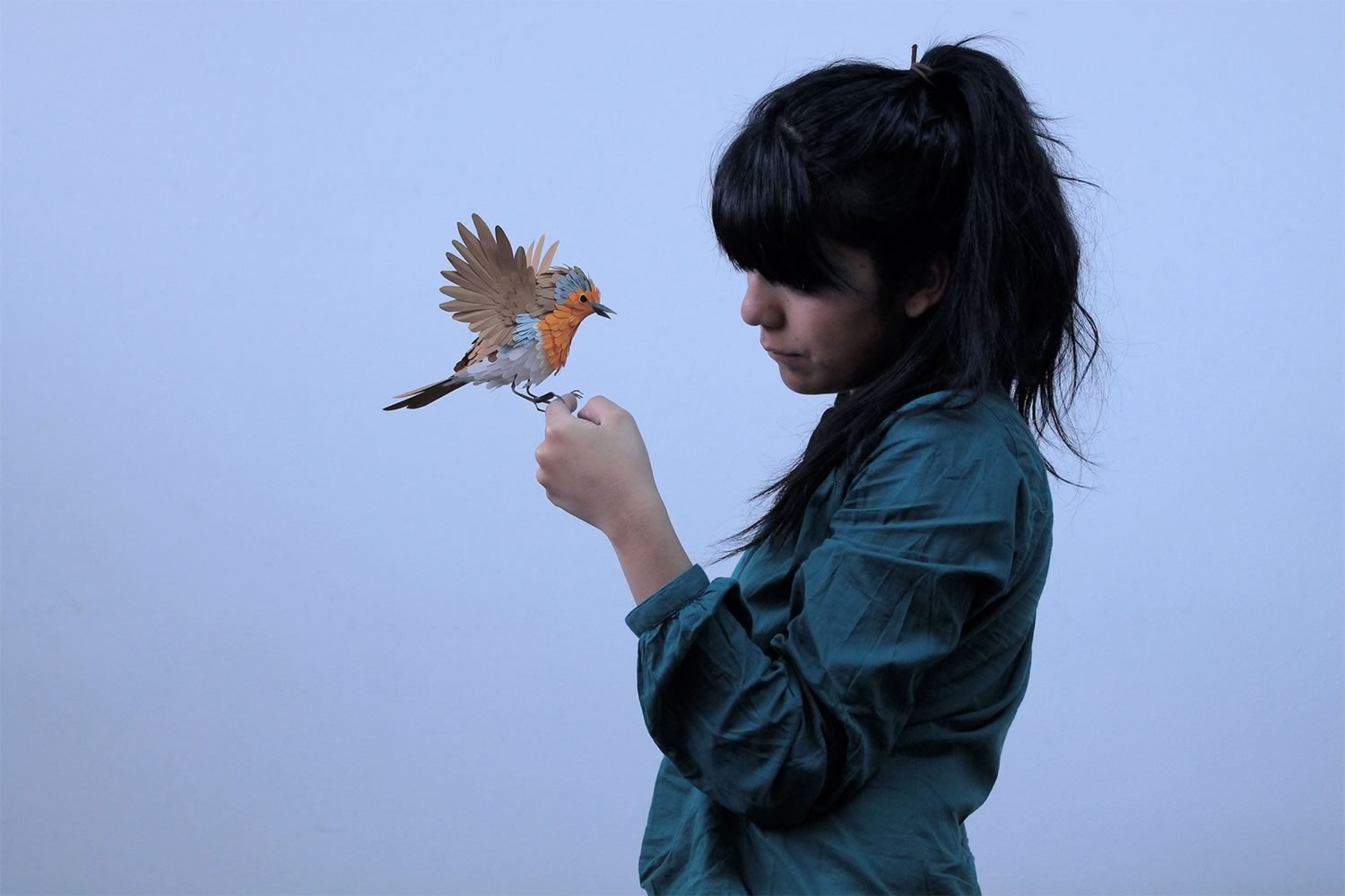 paper bird by Diana Beltran Herrera