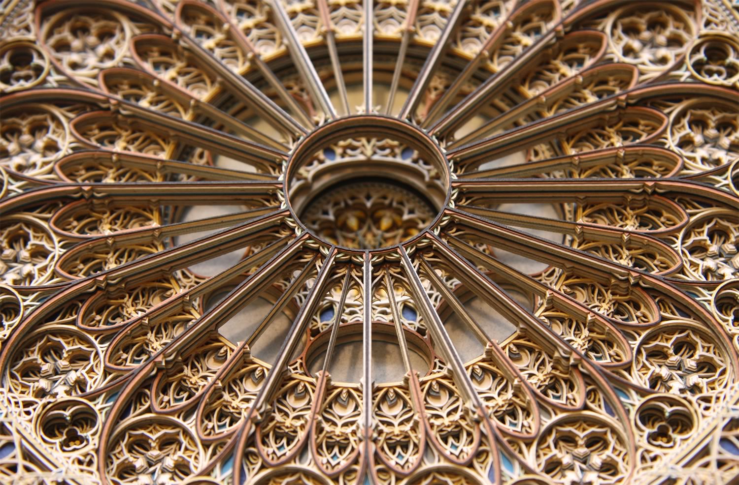 rose window made from paper by Eric Standley
