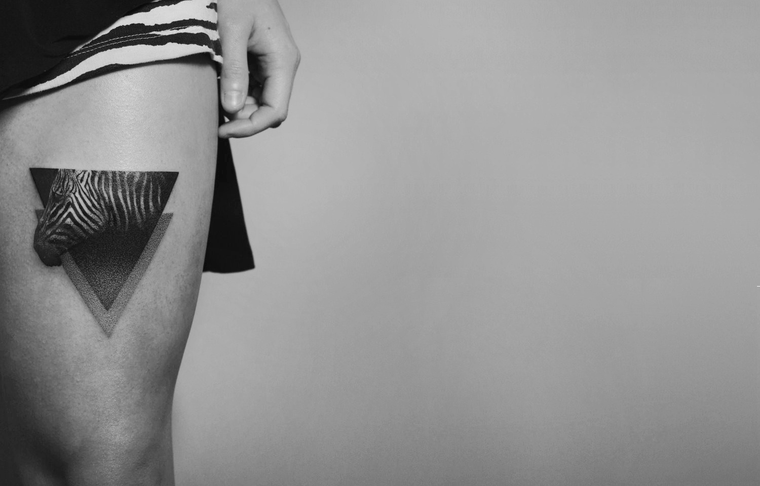 71+ Free Simple Zebra Tattoo HD Tattoo Photos