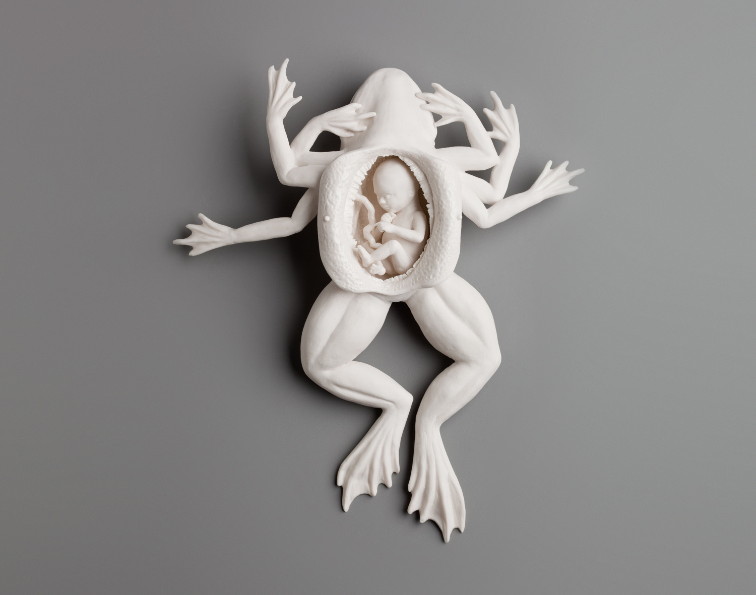 human baby (fetus) growing inside frog, white ceramic sculpture by Kate MacDowell