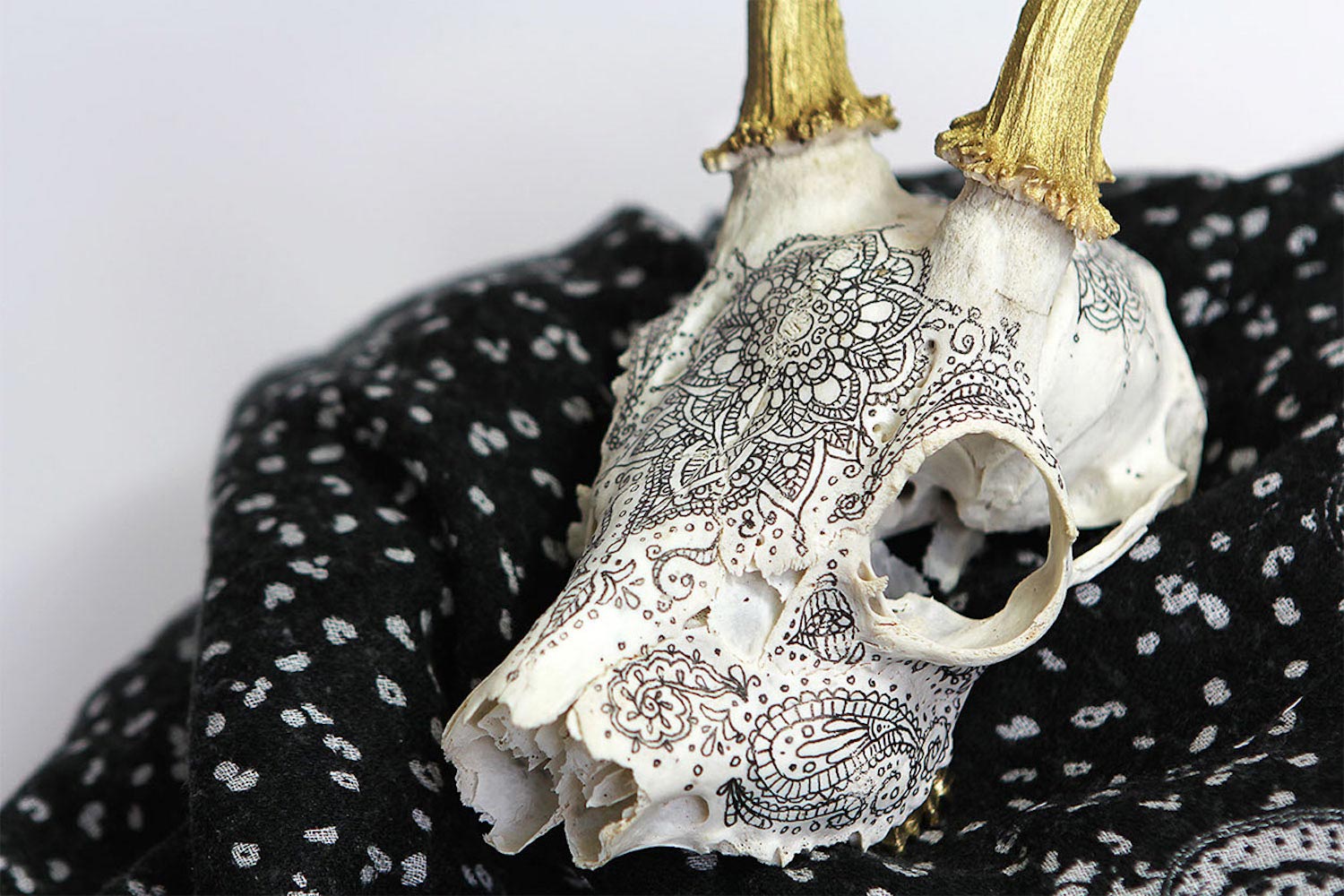 Adorned skull by Aline Cerisier