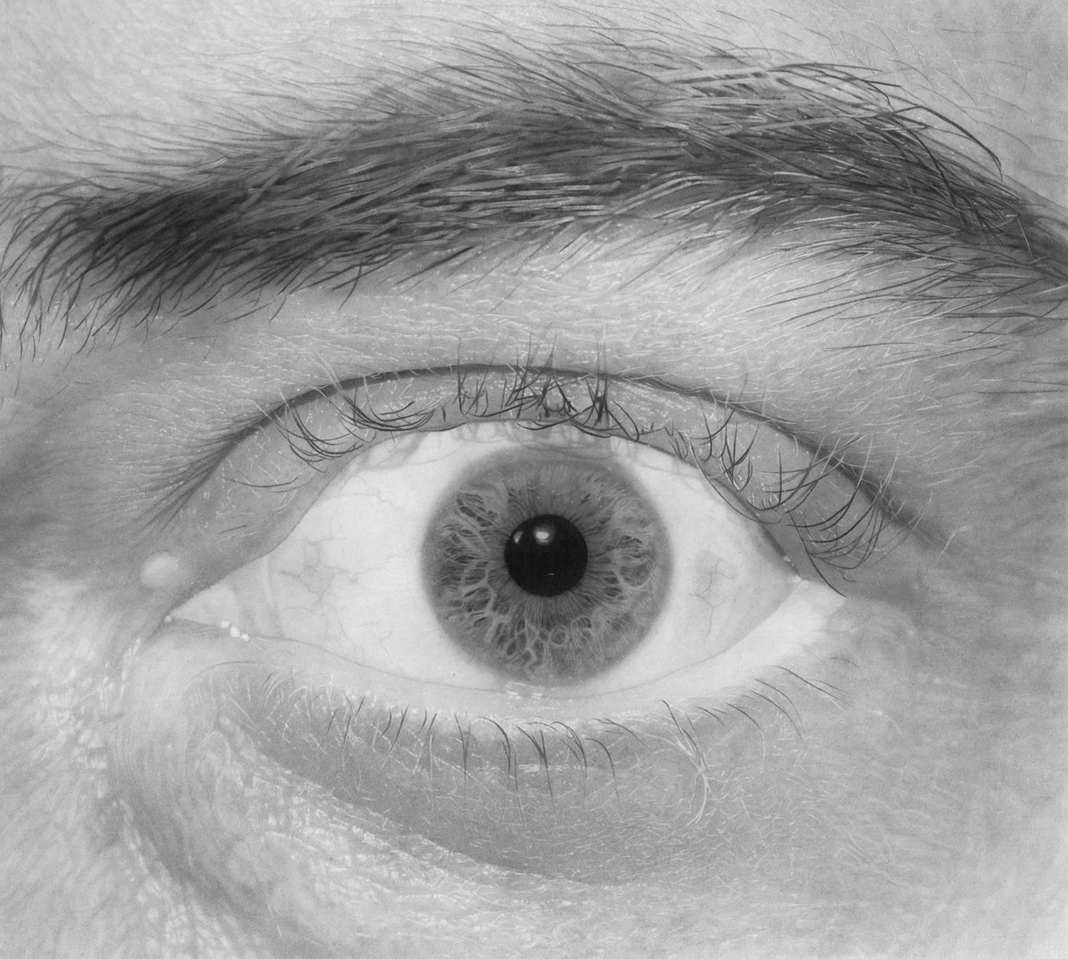 Open Eye Sketch Open Eye Sketch
