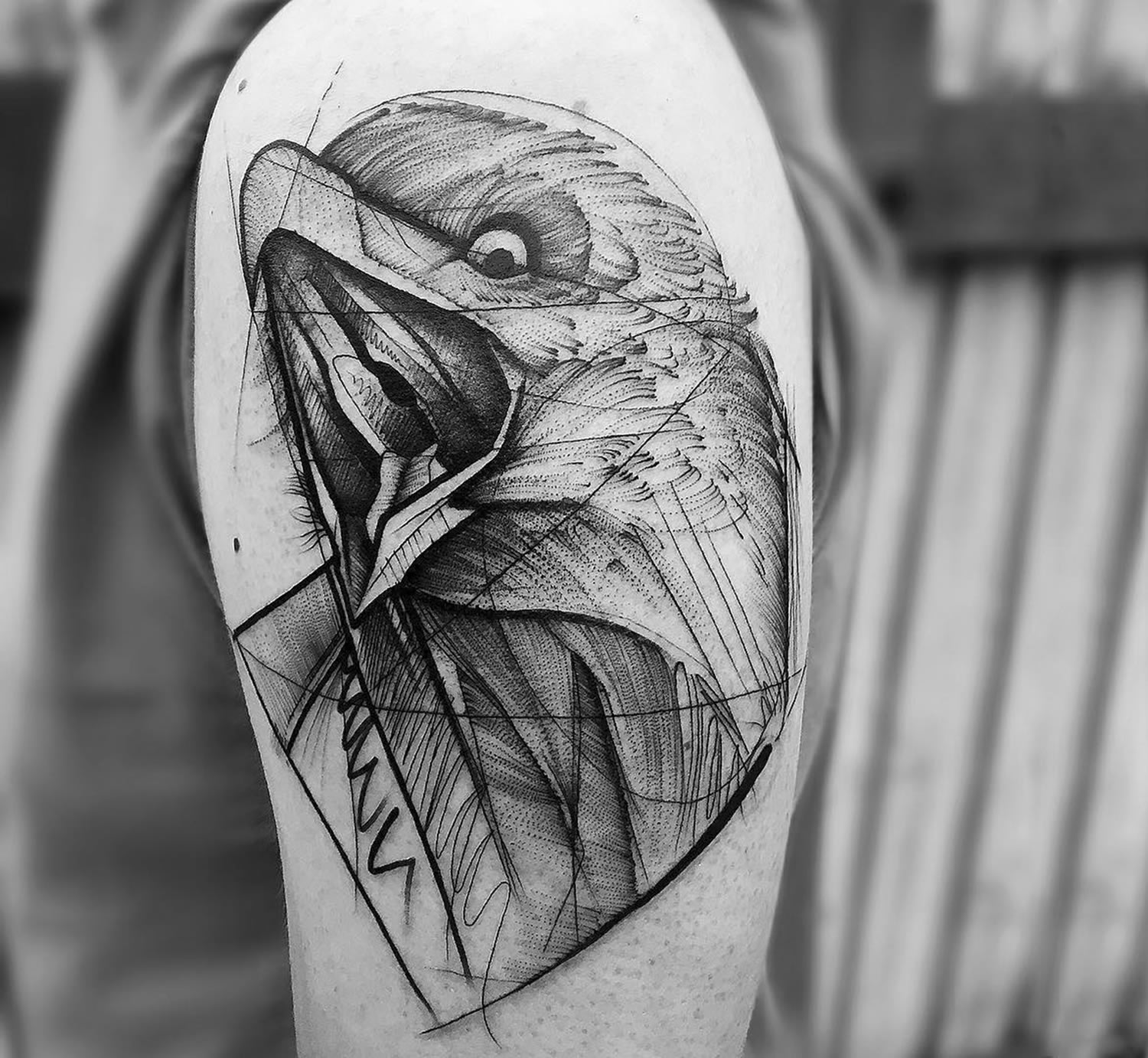 hawk tattoo, black lines