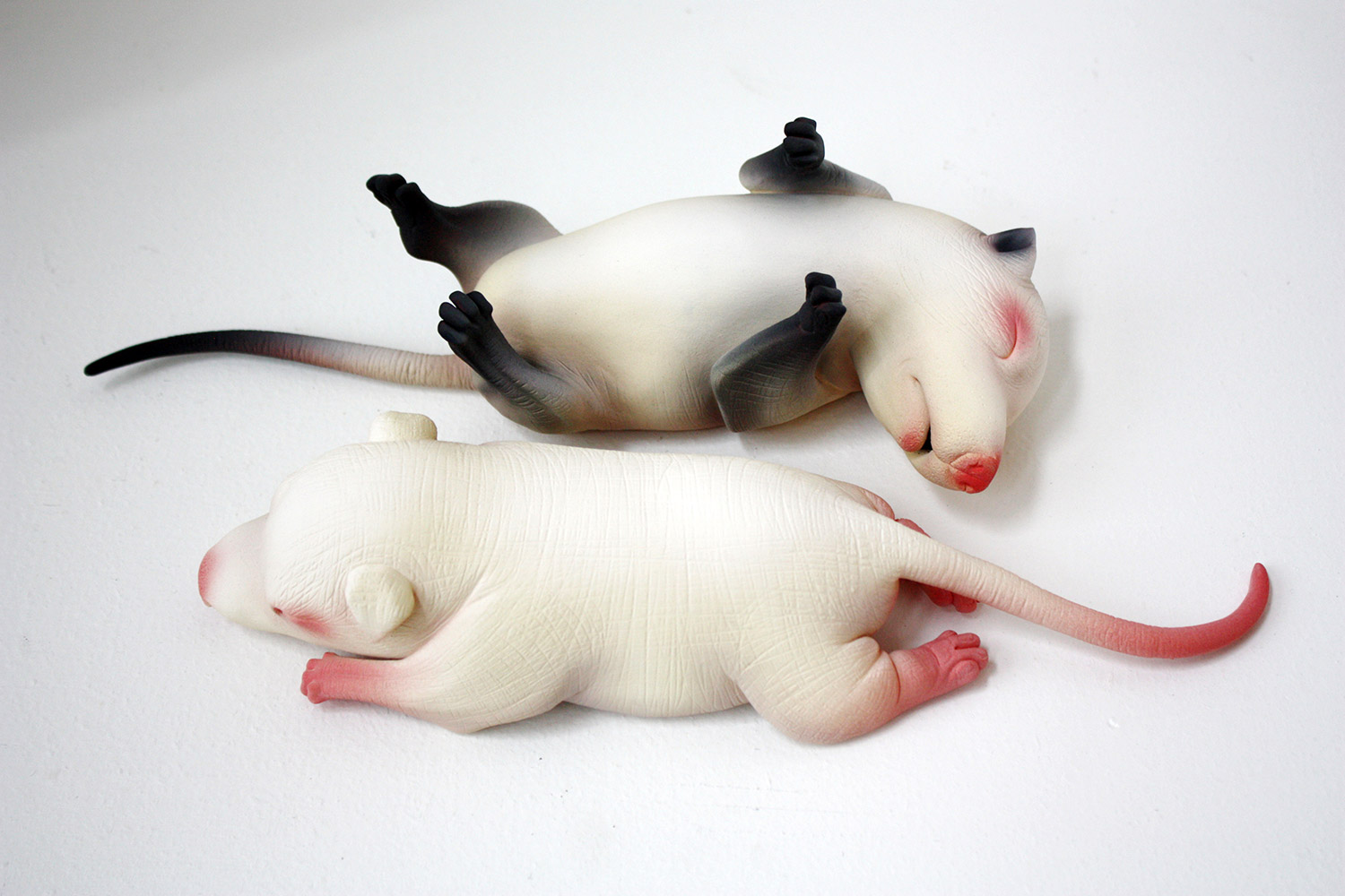 Erika Sanada - two rodents lying side-by-side