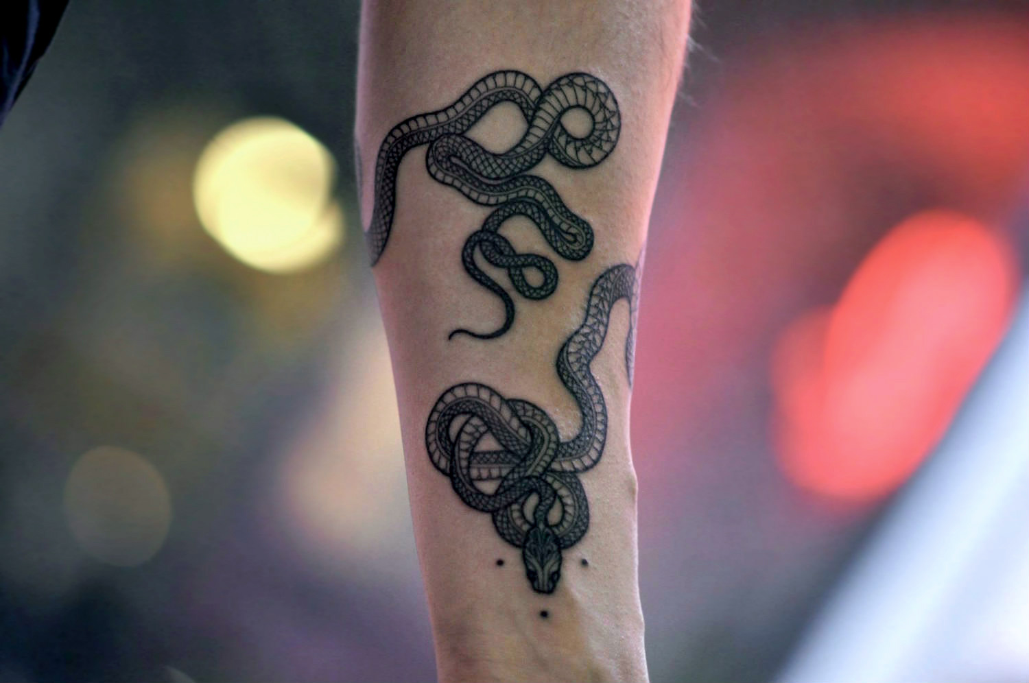 Mirko Sata Snake Tattoo