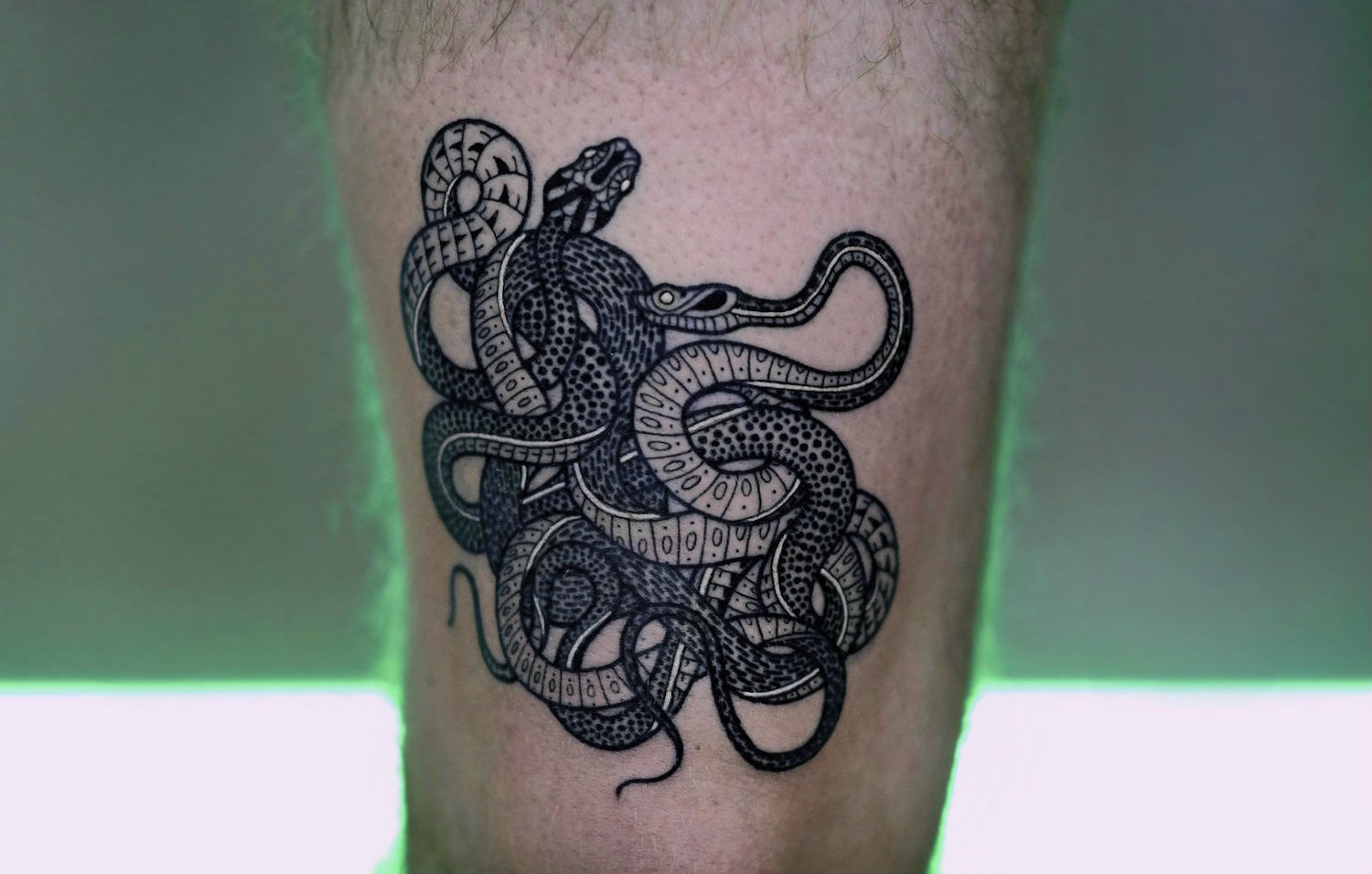 Чёрно фиолетовая змея тату