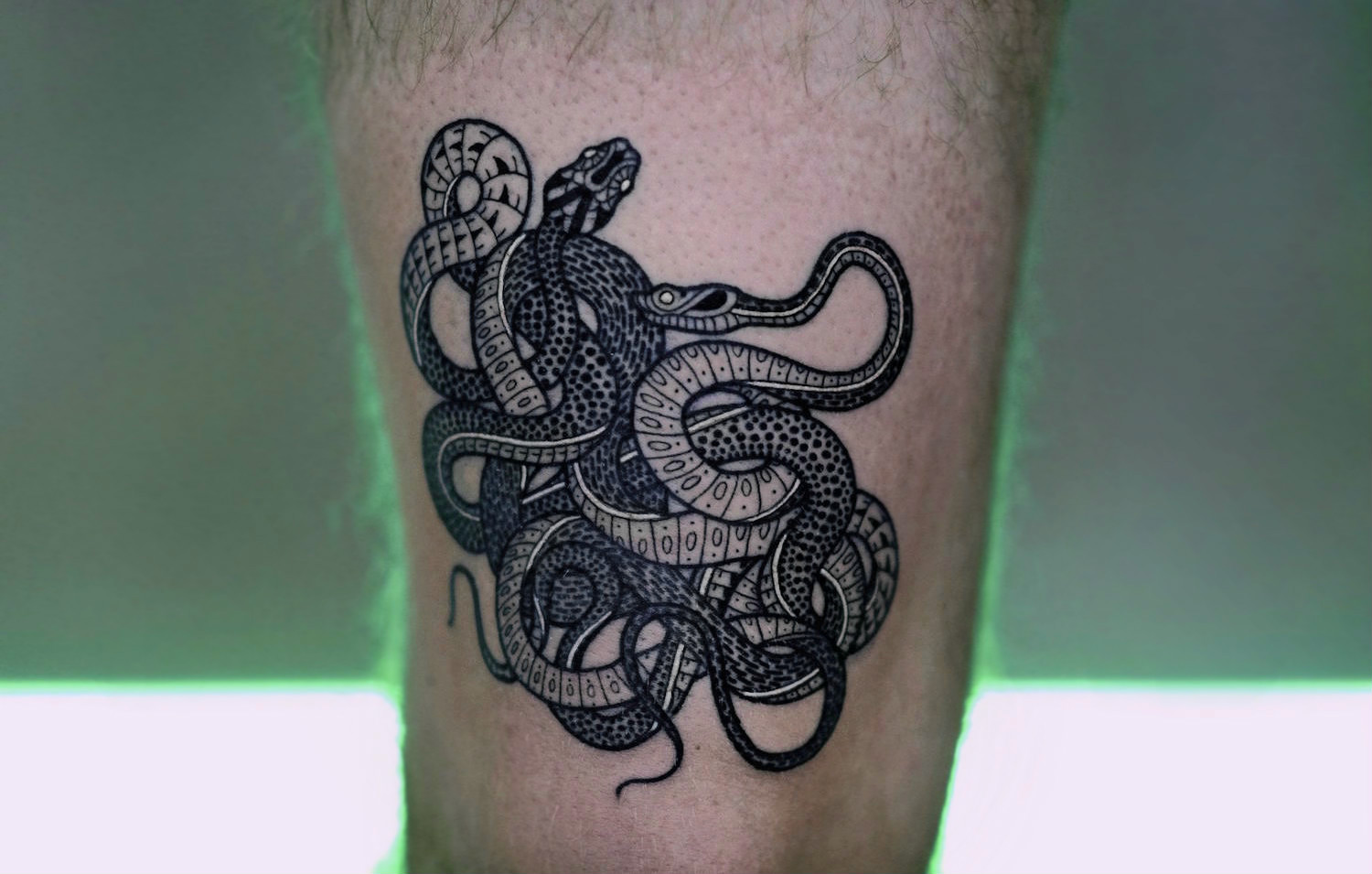 coiled snake arm tattoo