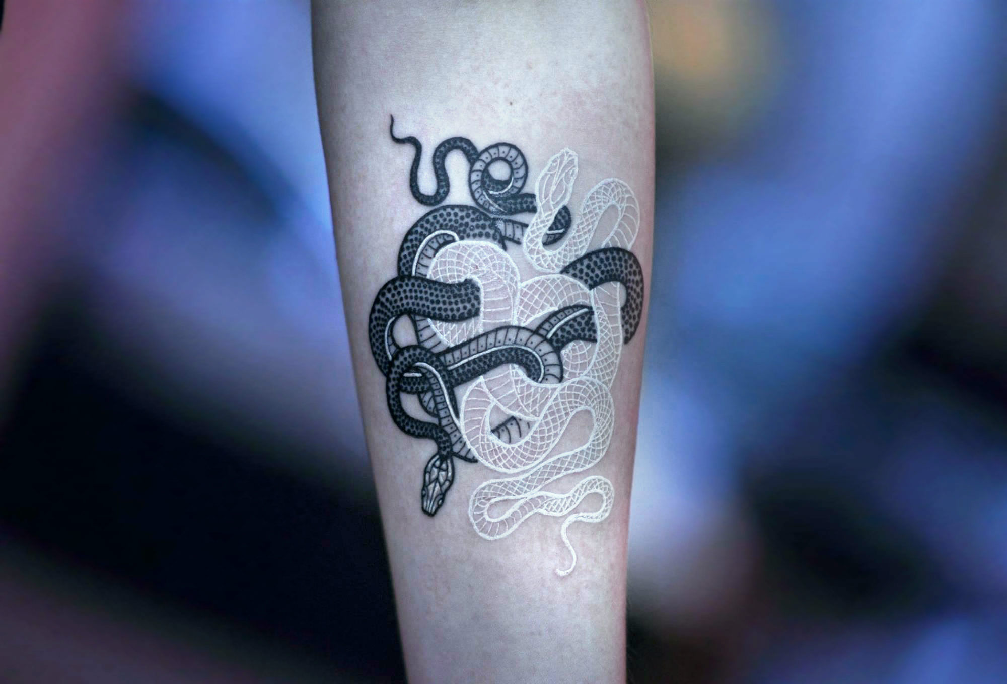 Intimate and Interwoven: Snake Tattoos by Mirko Sata – Scene360