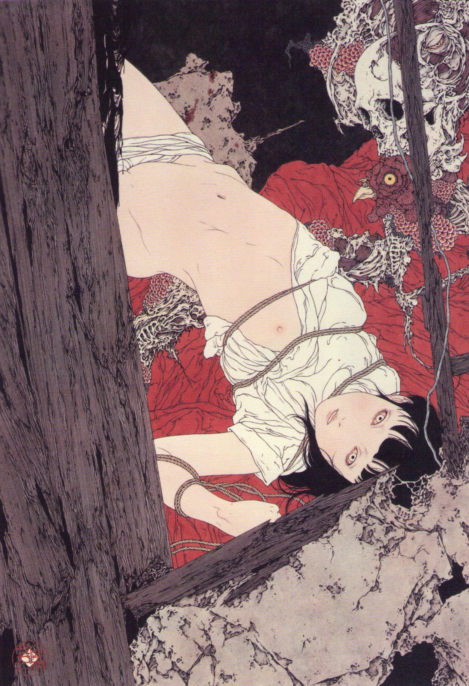 Takato Yamamoto - woman laying with ropes