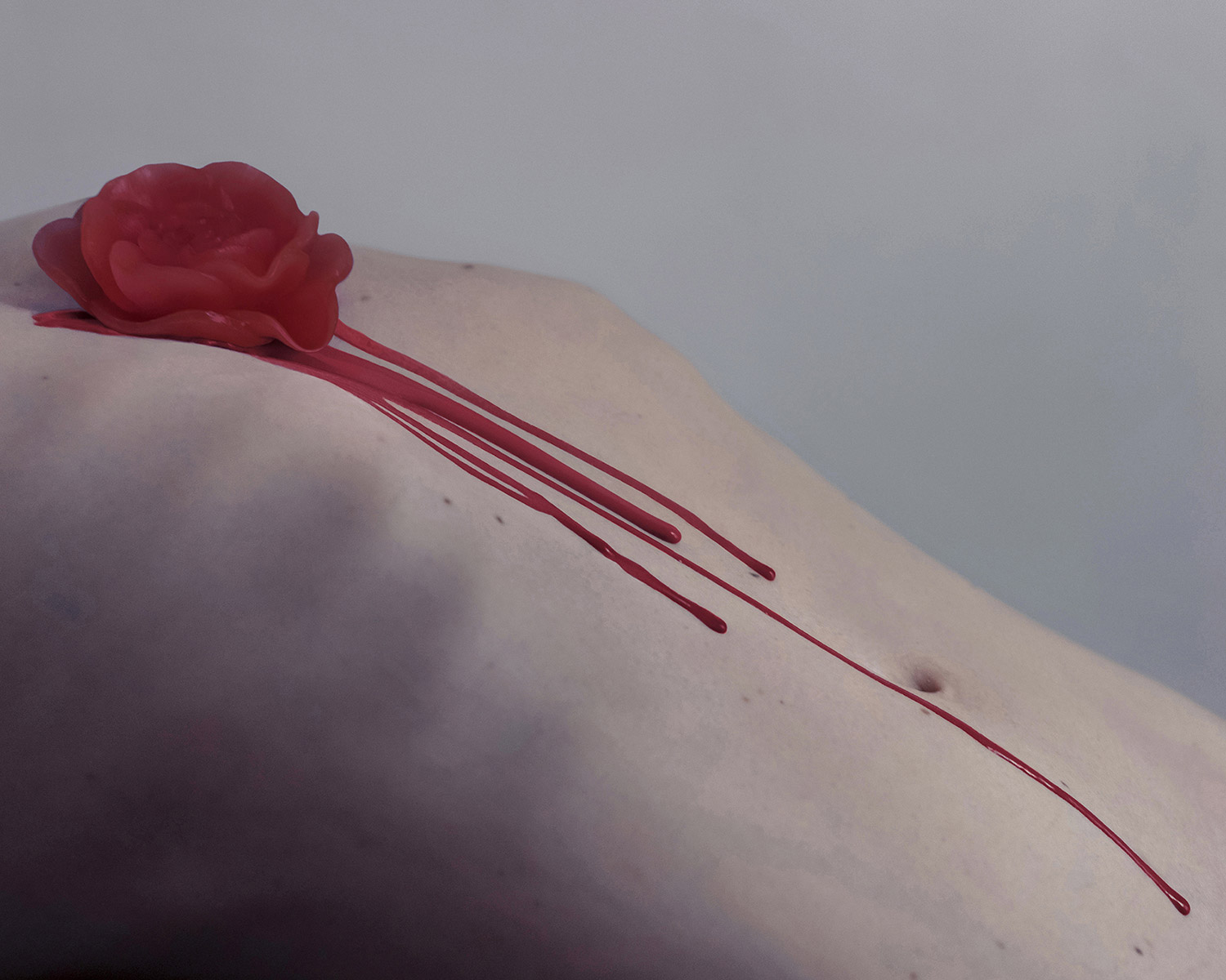 Brooke DiDonato, Roses - red rose on back