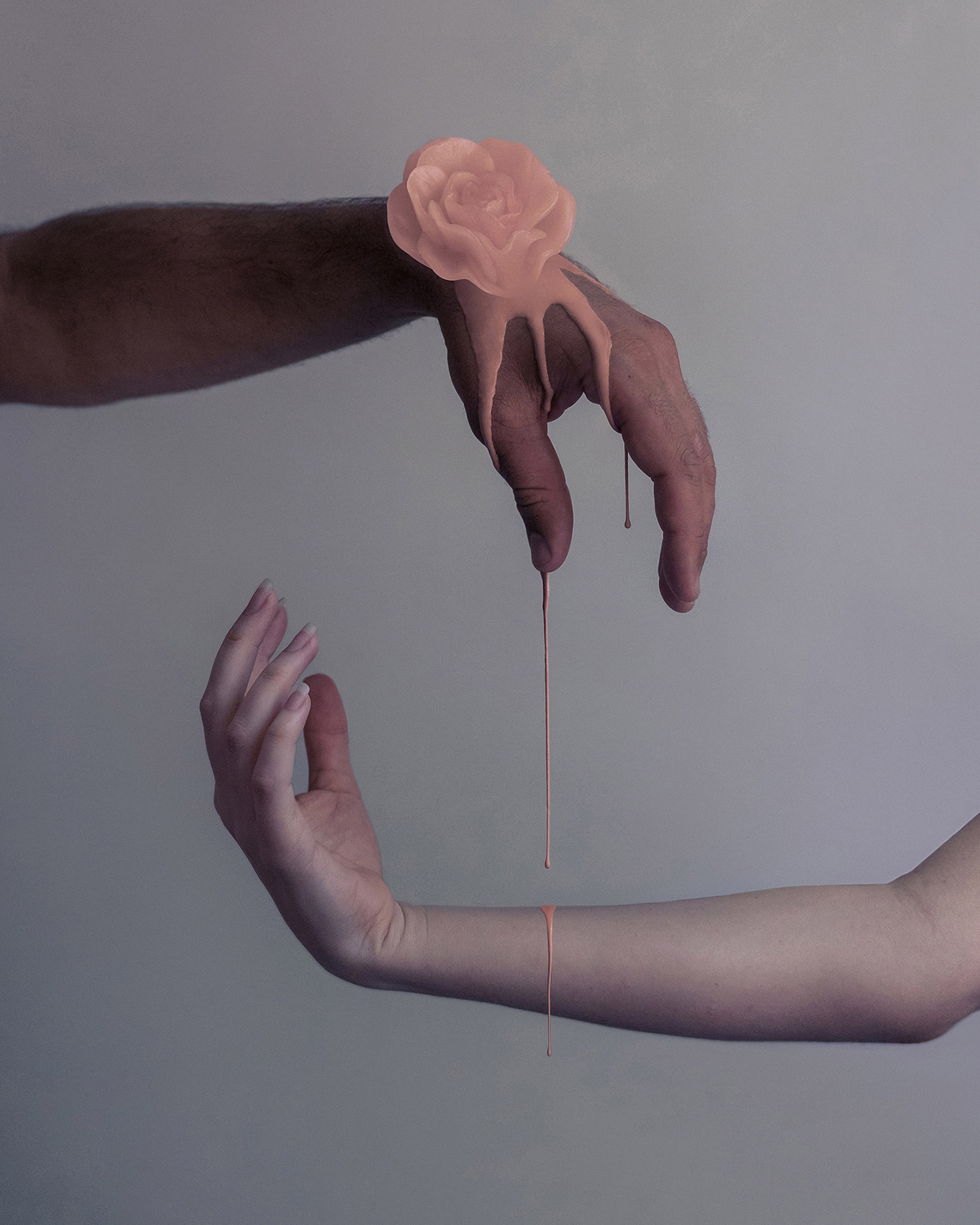 Brooke DiDonato, Roses - wrist roses