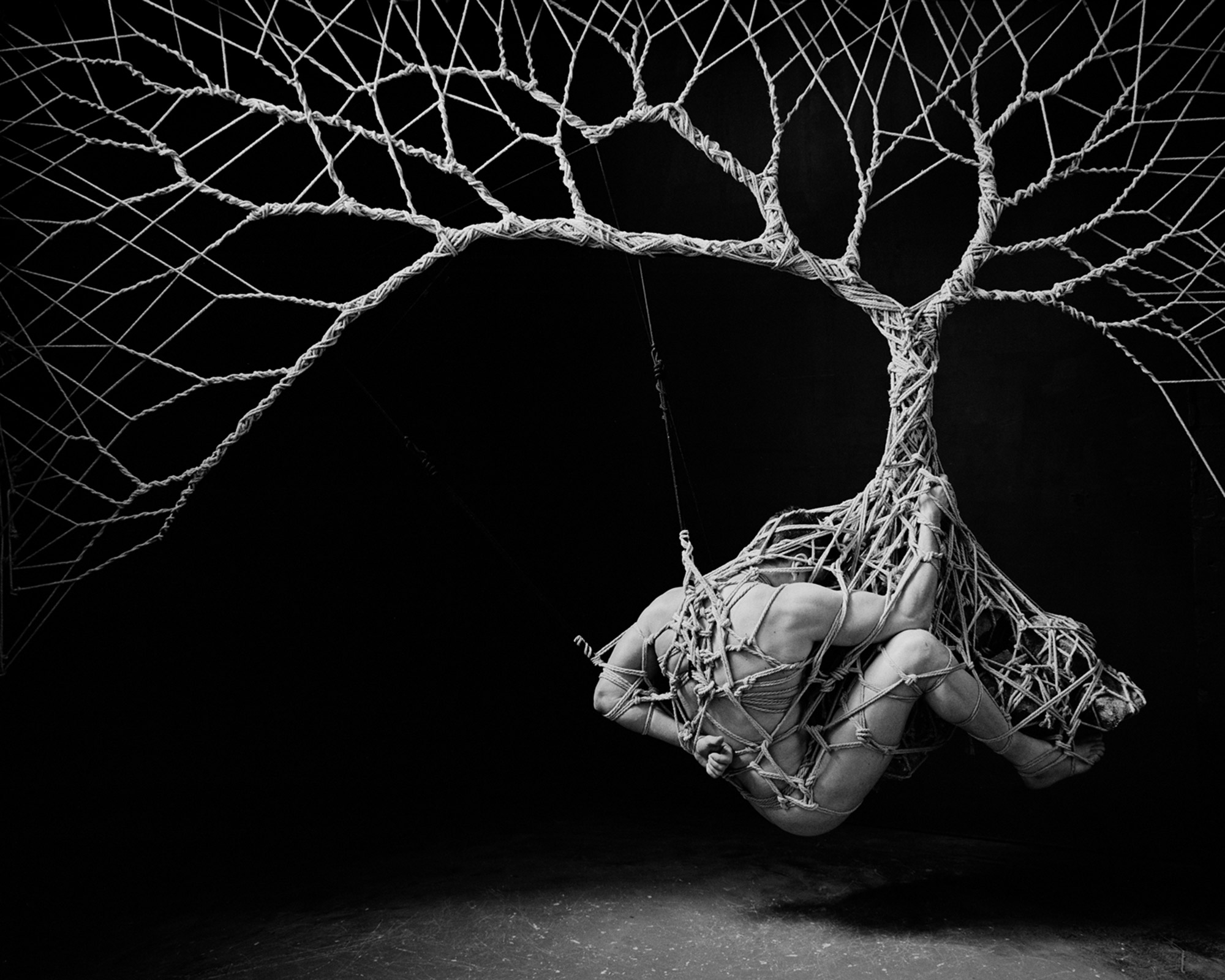 Japanese Bondage (Shibari) Fine Art - Garth Knight. rope tree